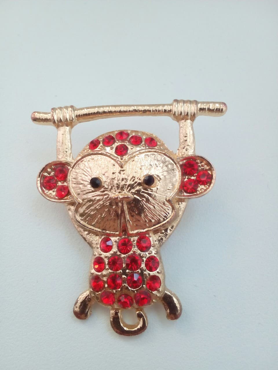 monkey