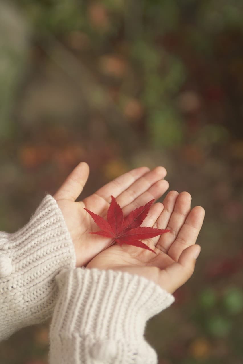 Autumn