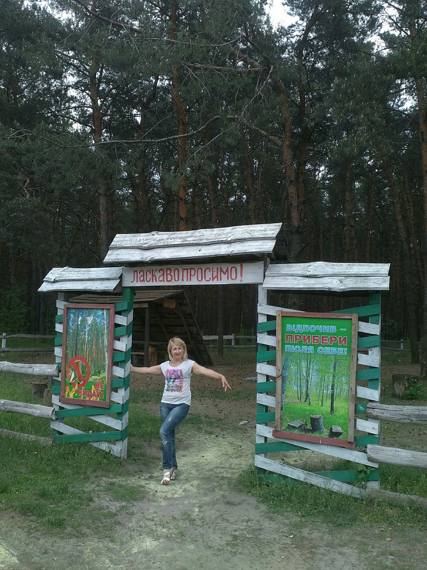Лес.