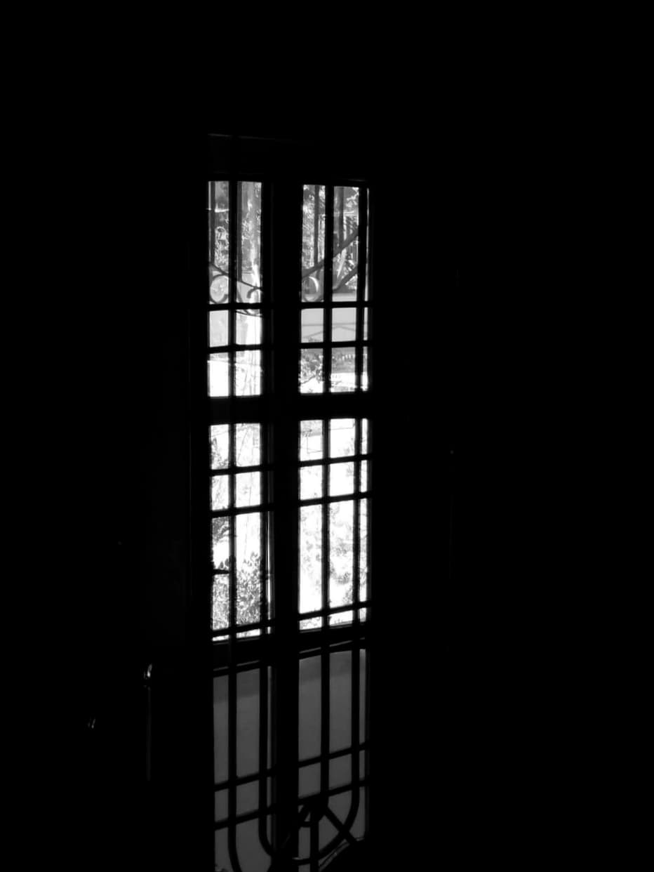Window