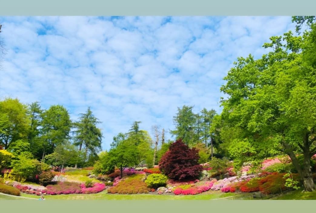 Park