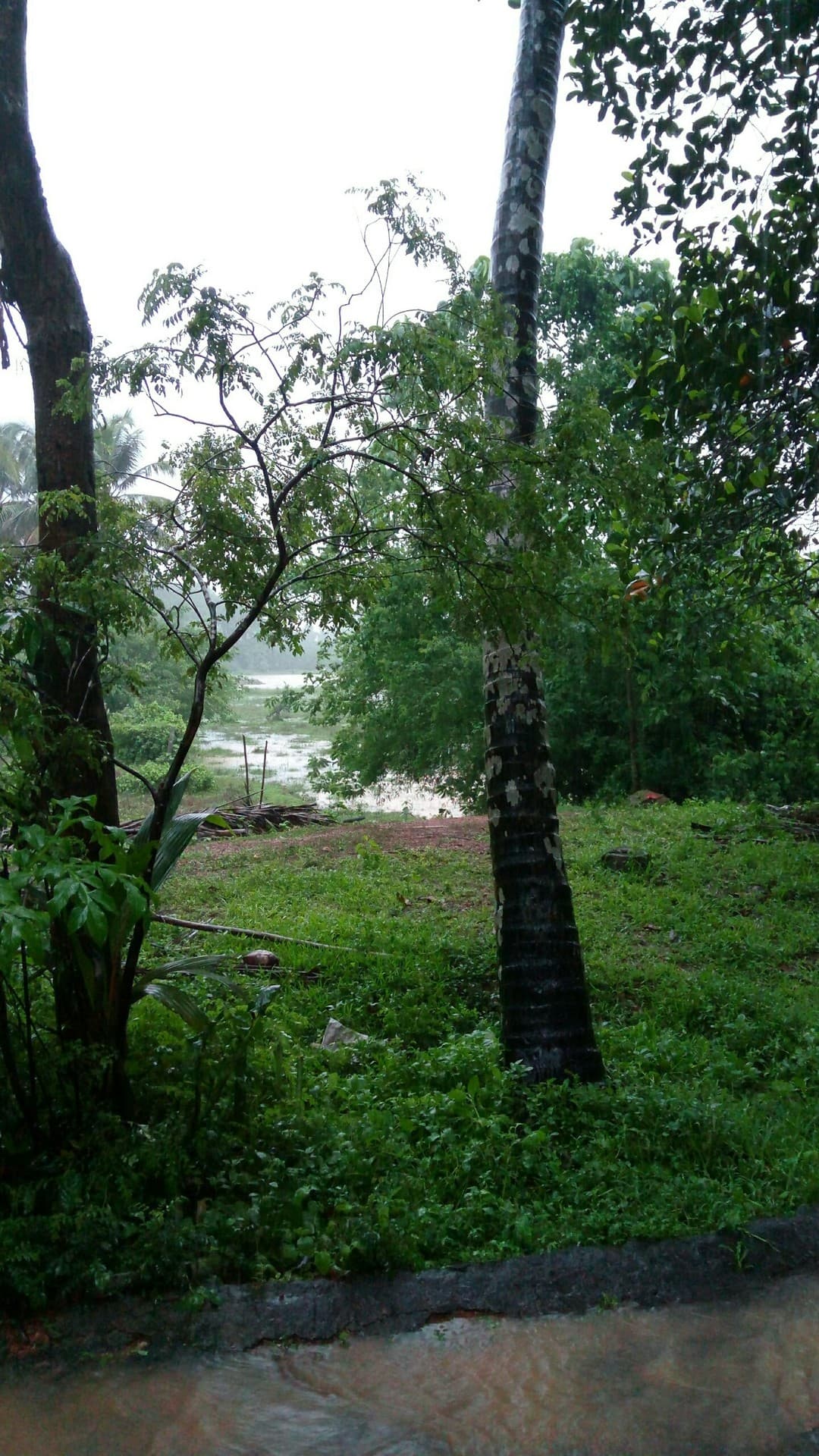 A rainy day