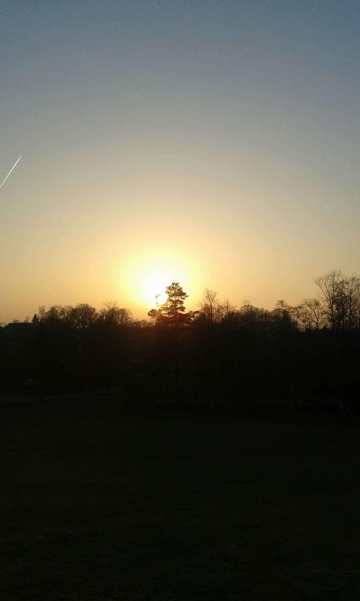 Is this picture nice