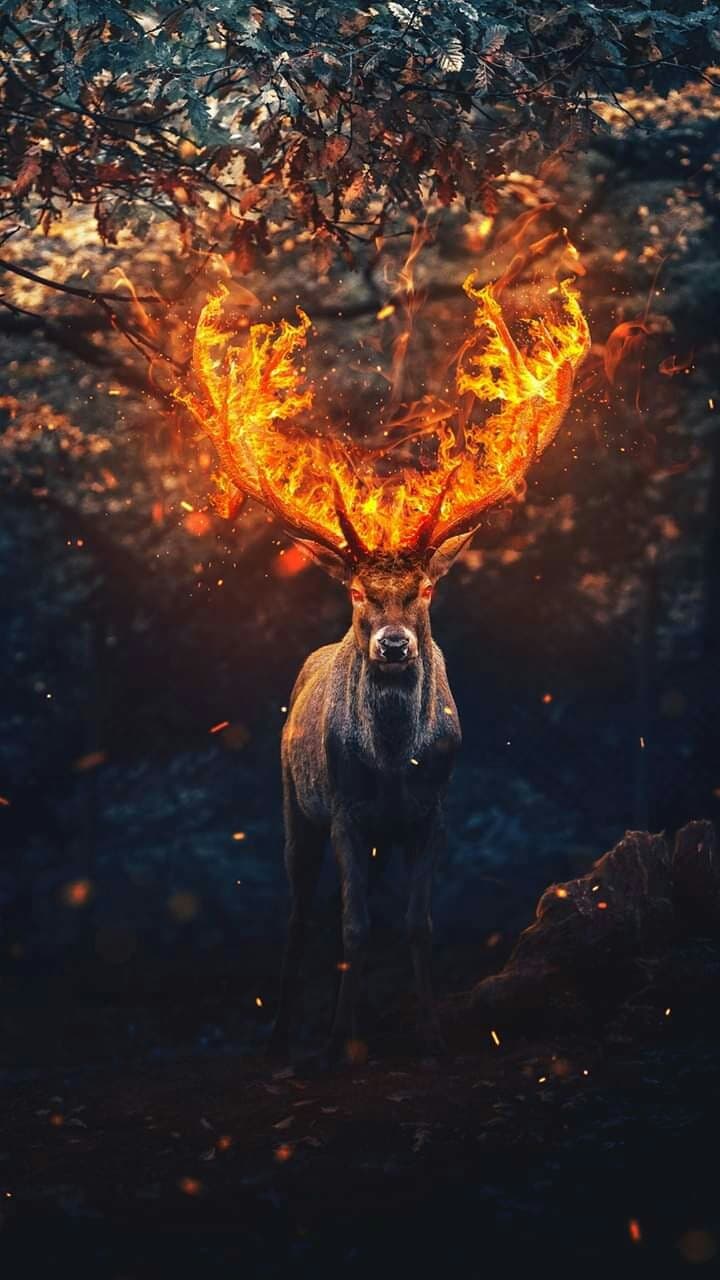 ❤❤