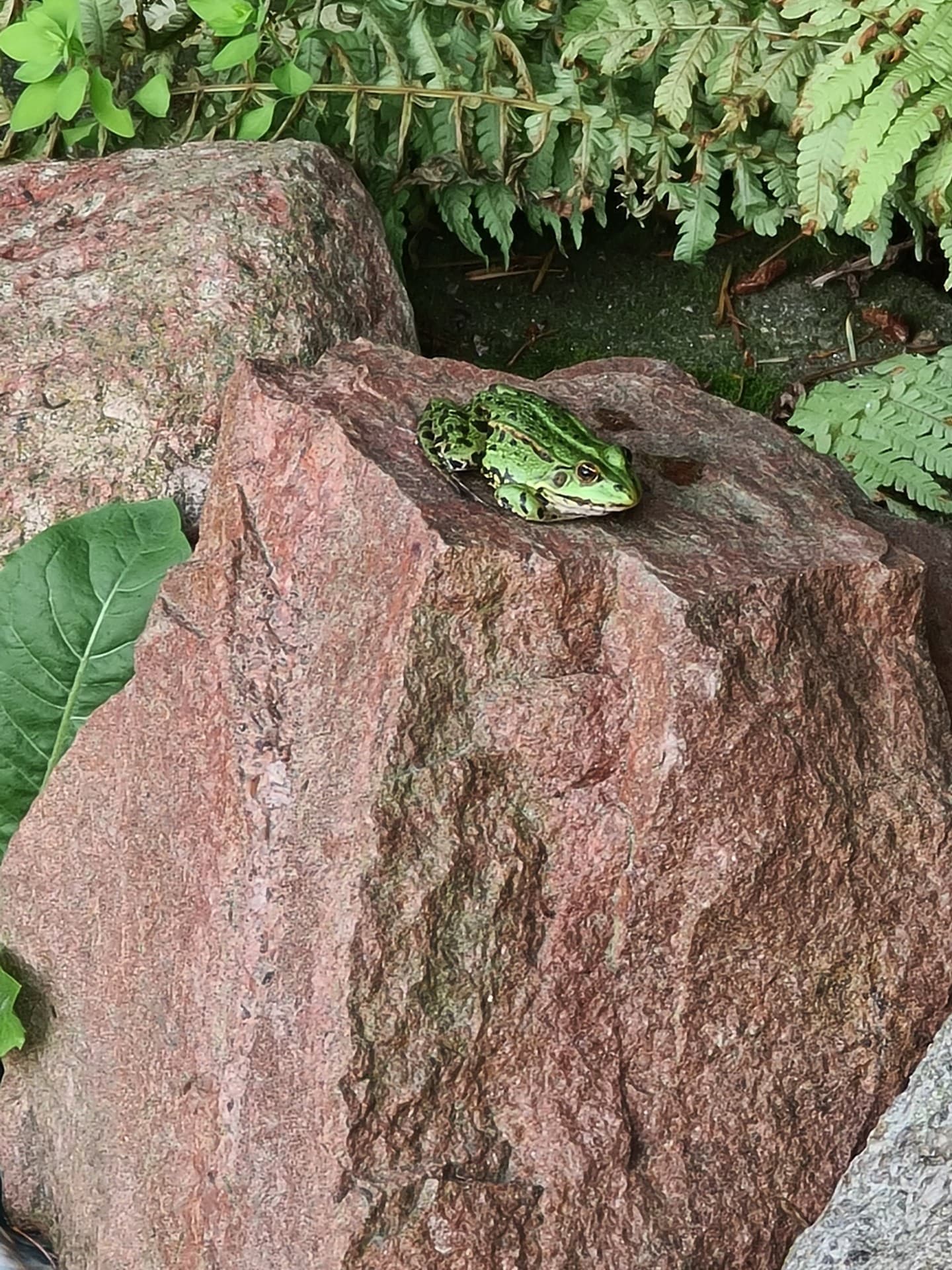 nature