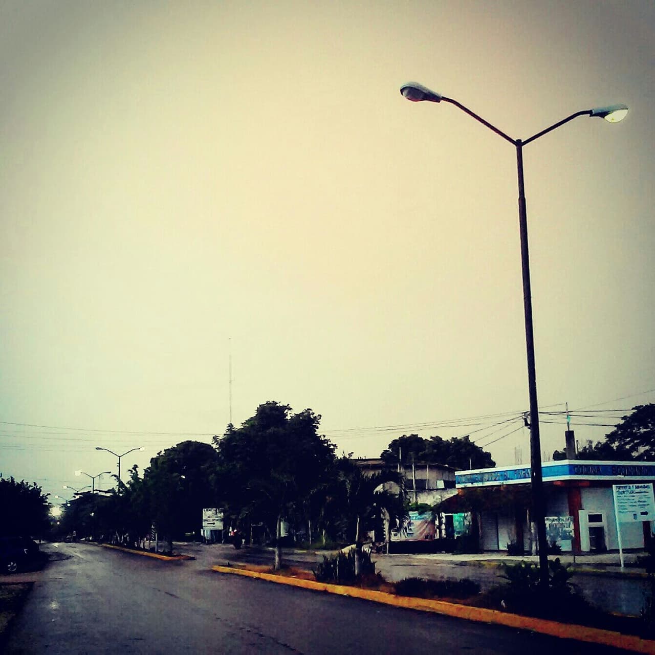 camino