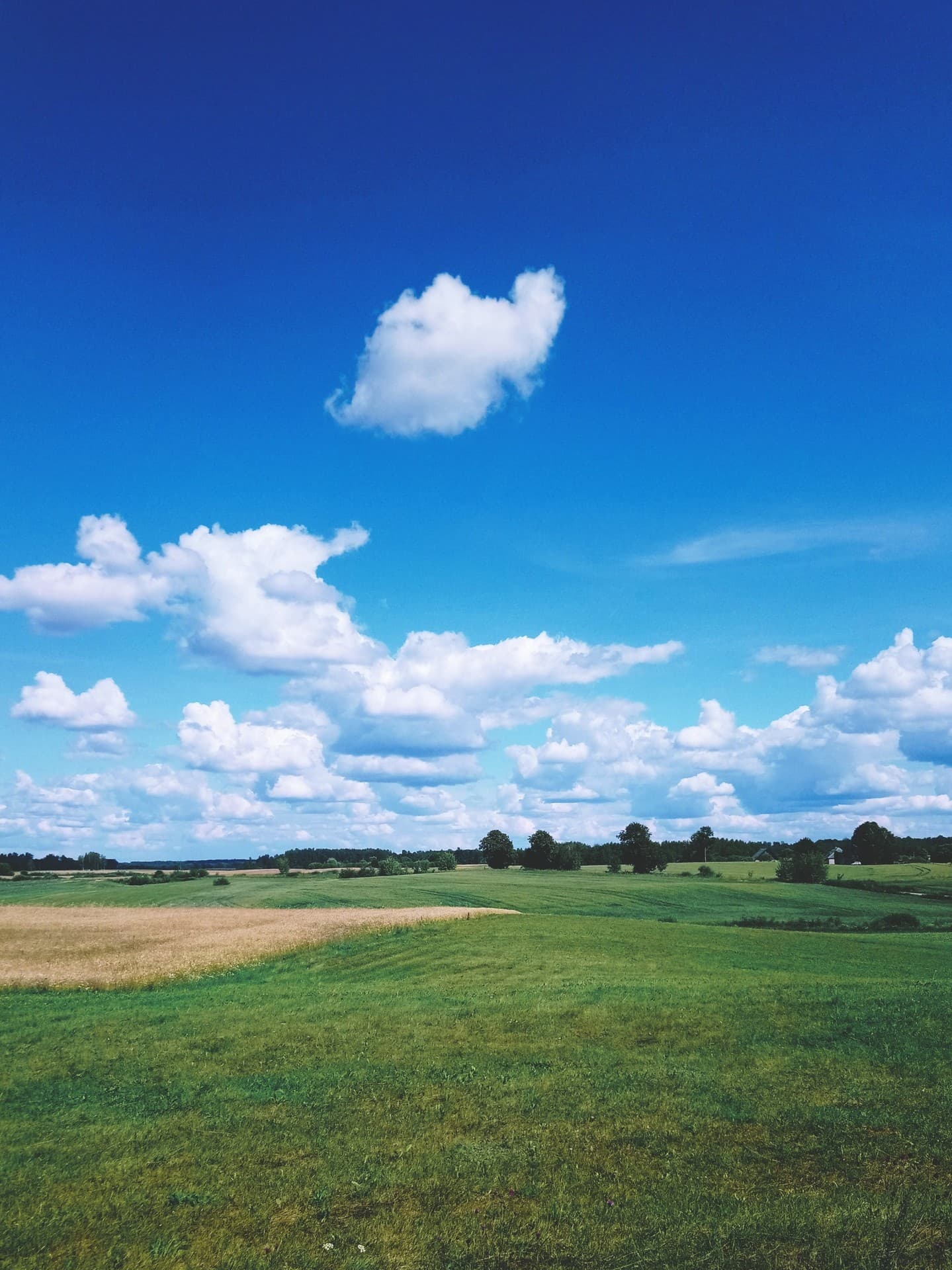 Lost in Latvian countryside.