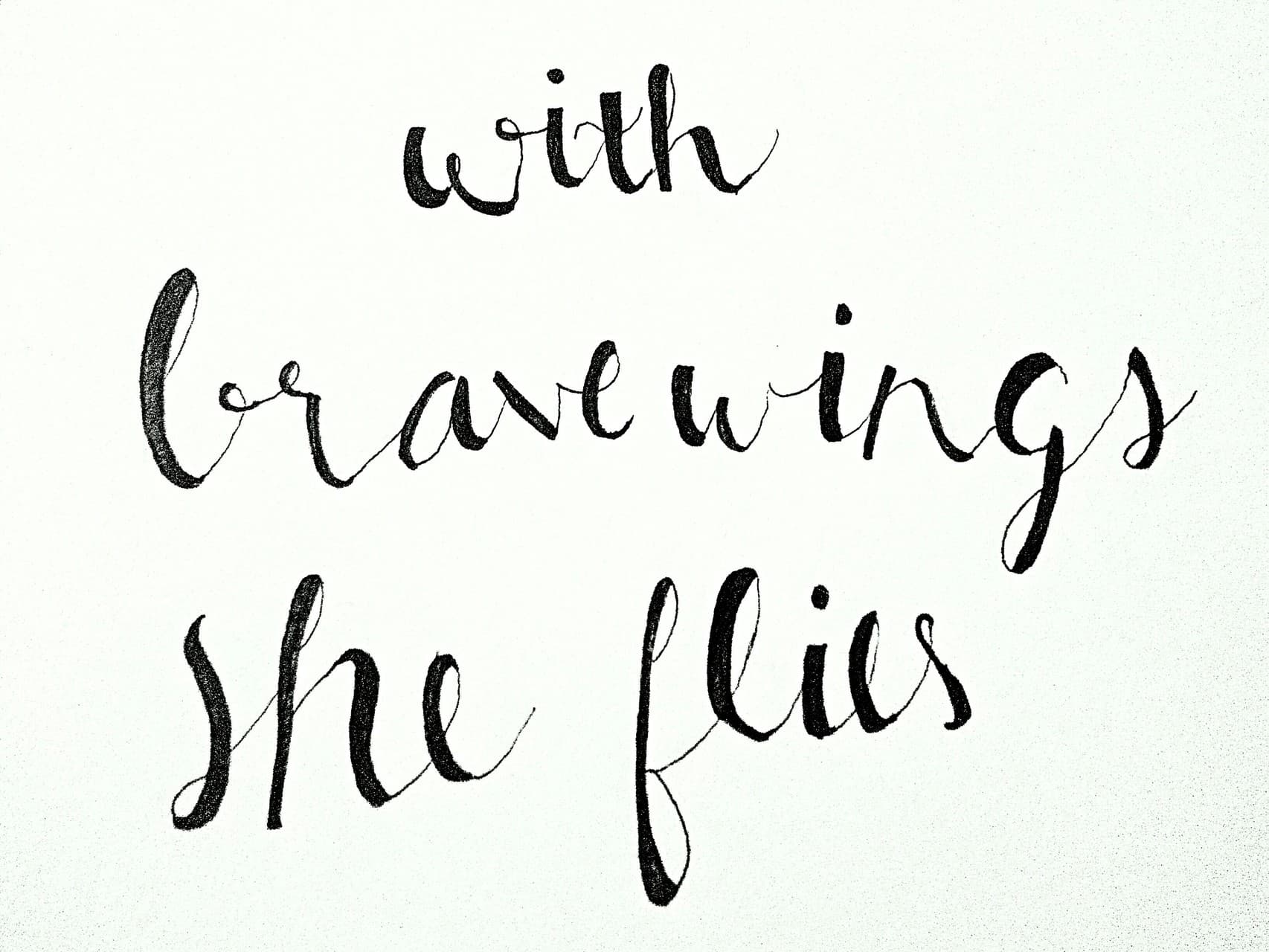 flies