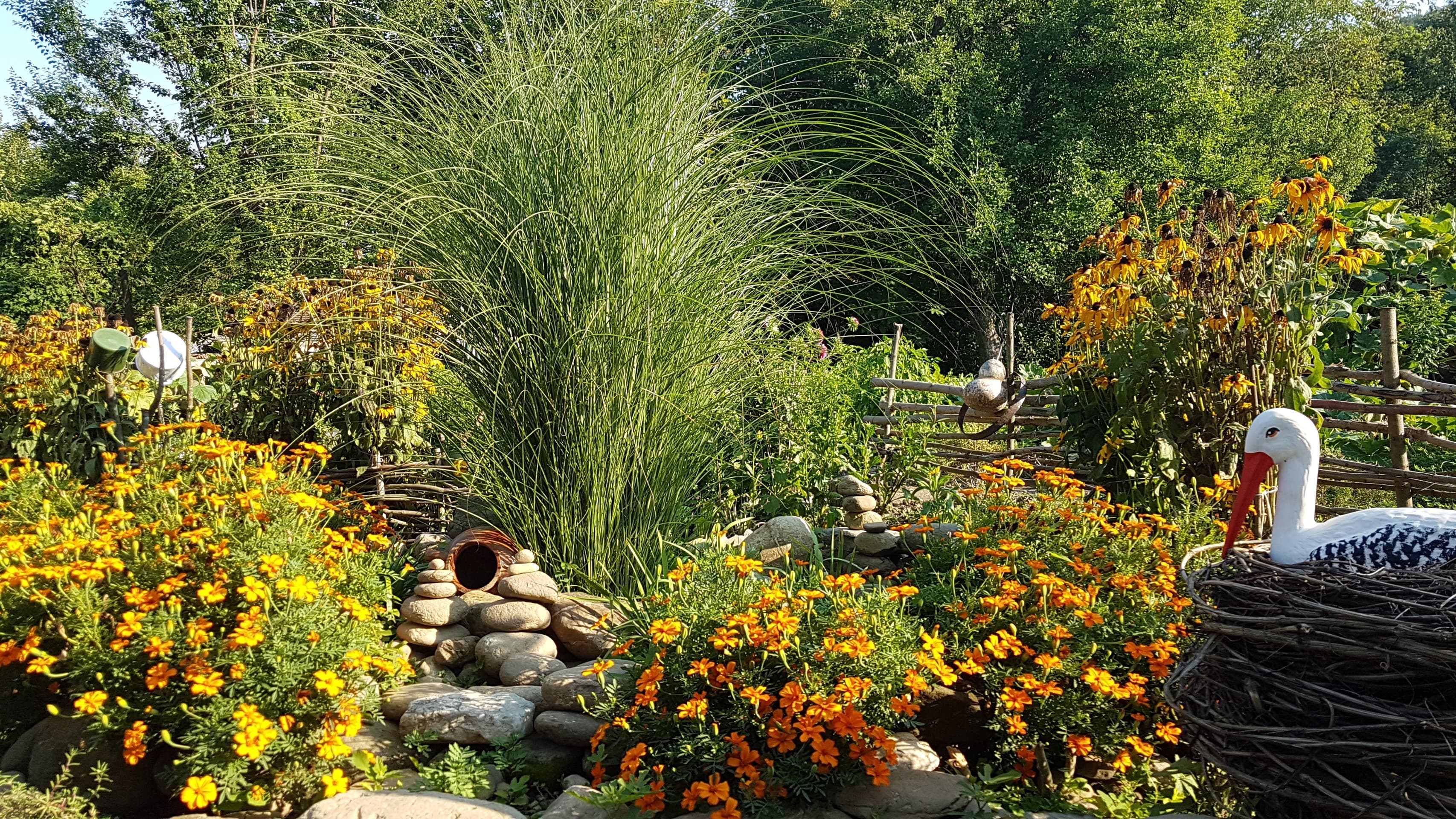 garden