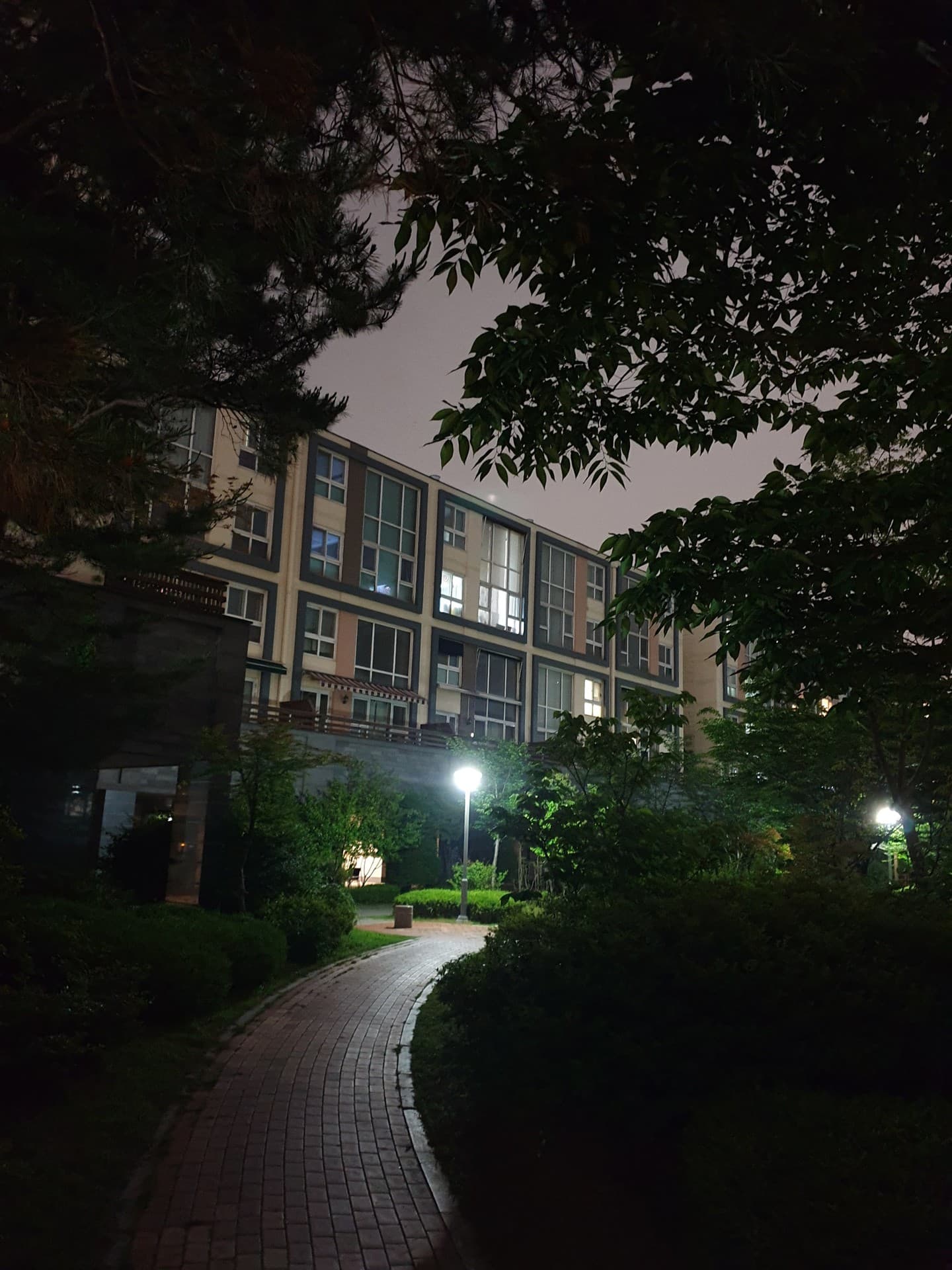 night view