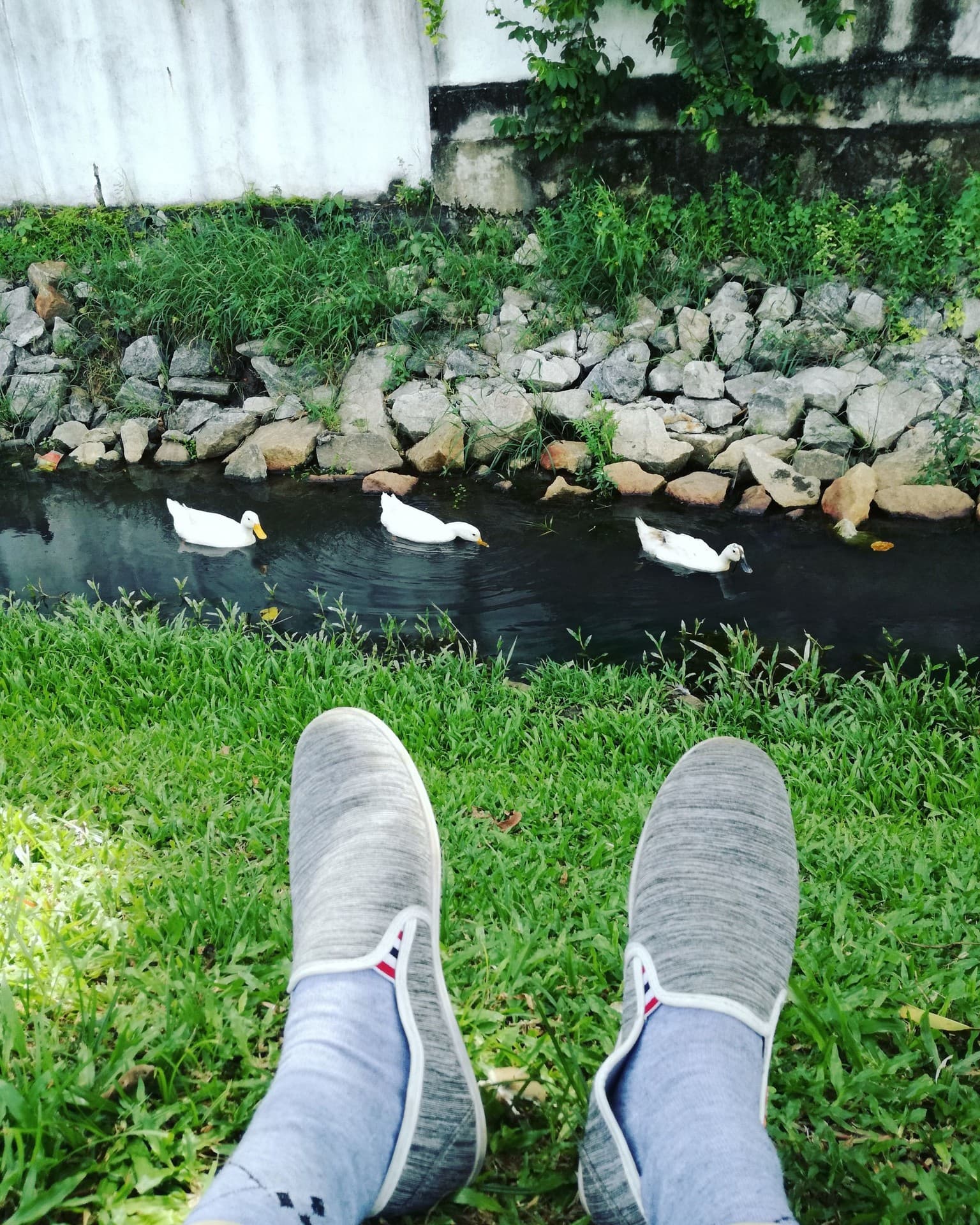 lonely