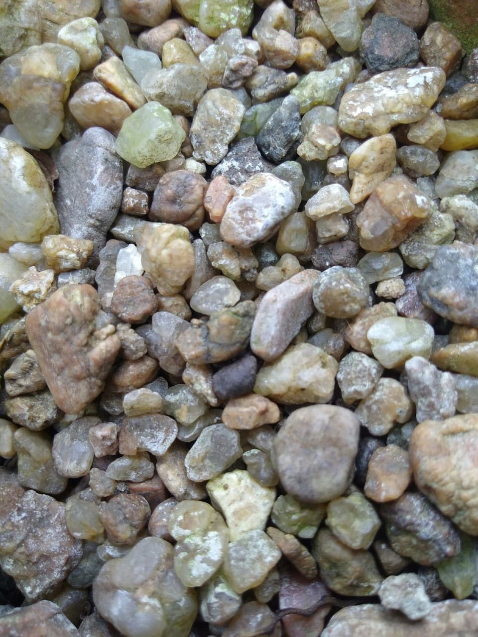 Pubbles