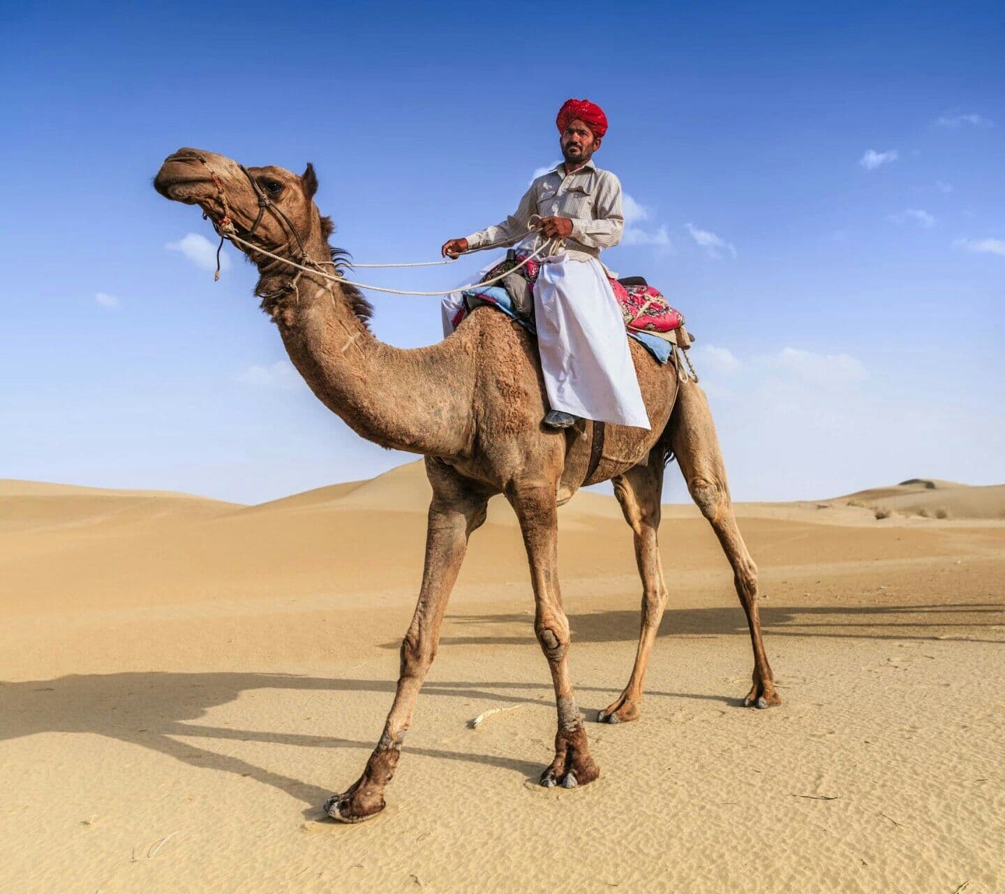 Ship of rajasthan 