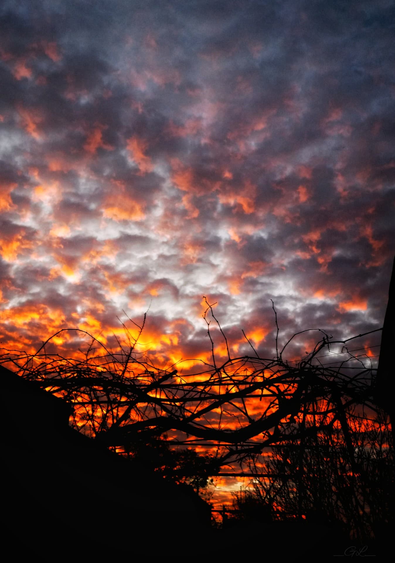 burning sky