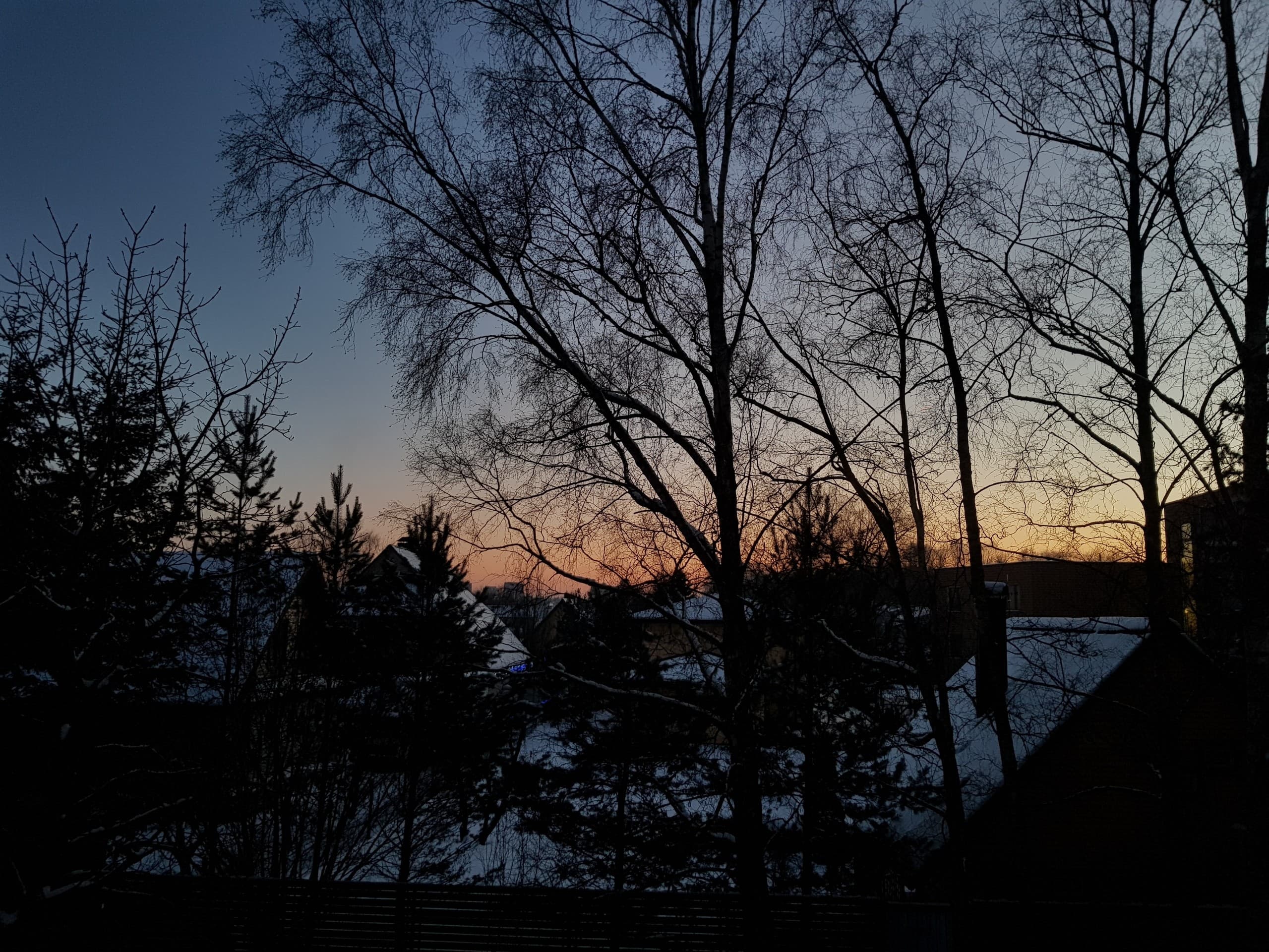 winter