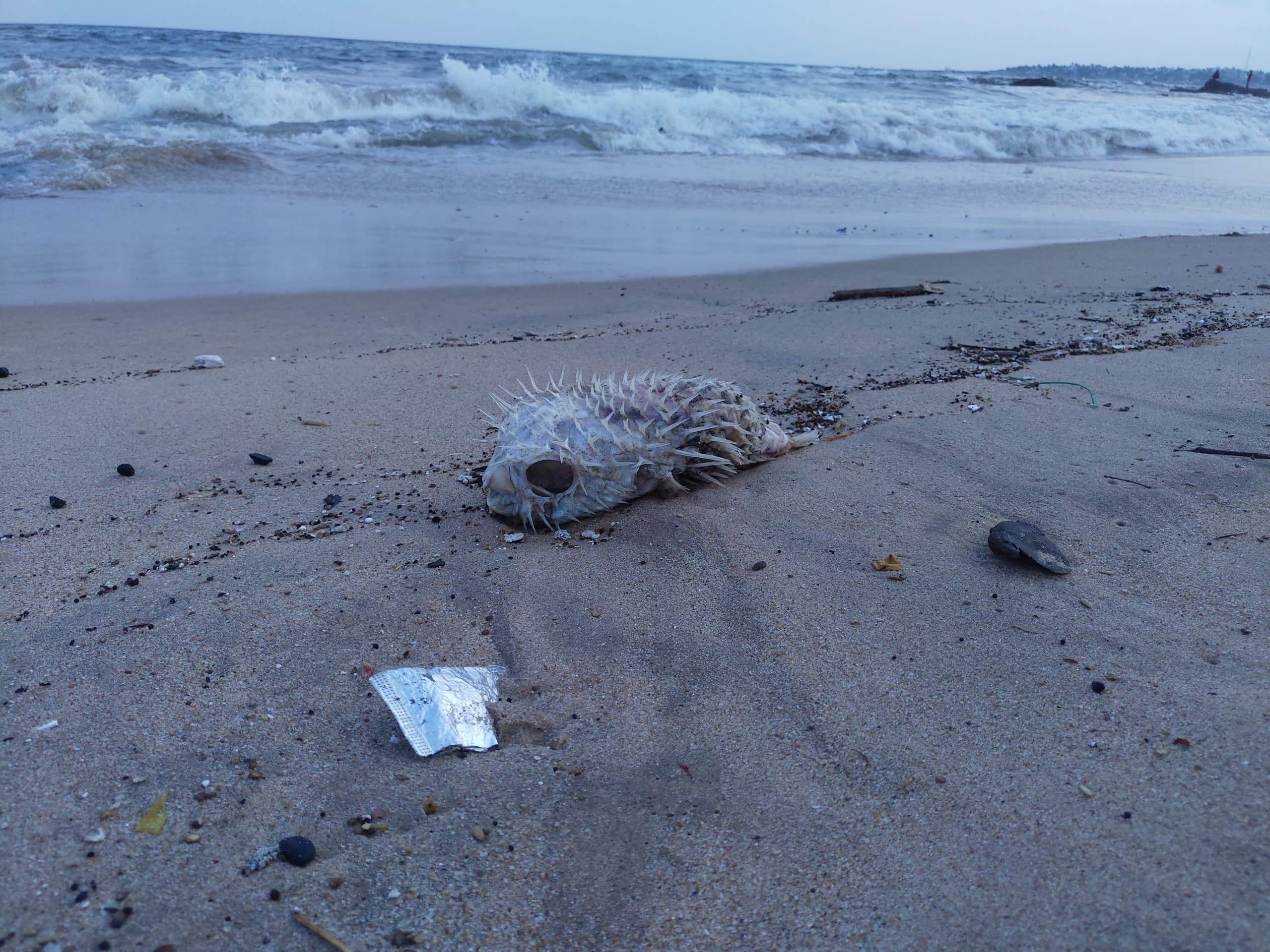 Vizag beach