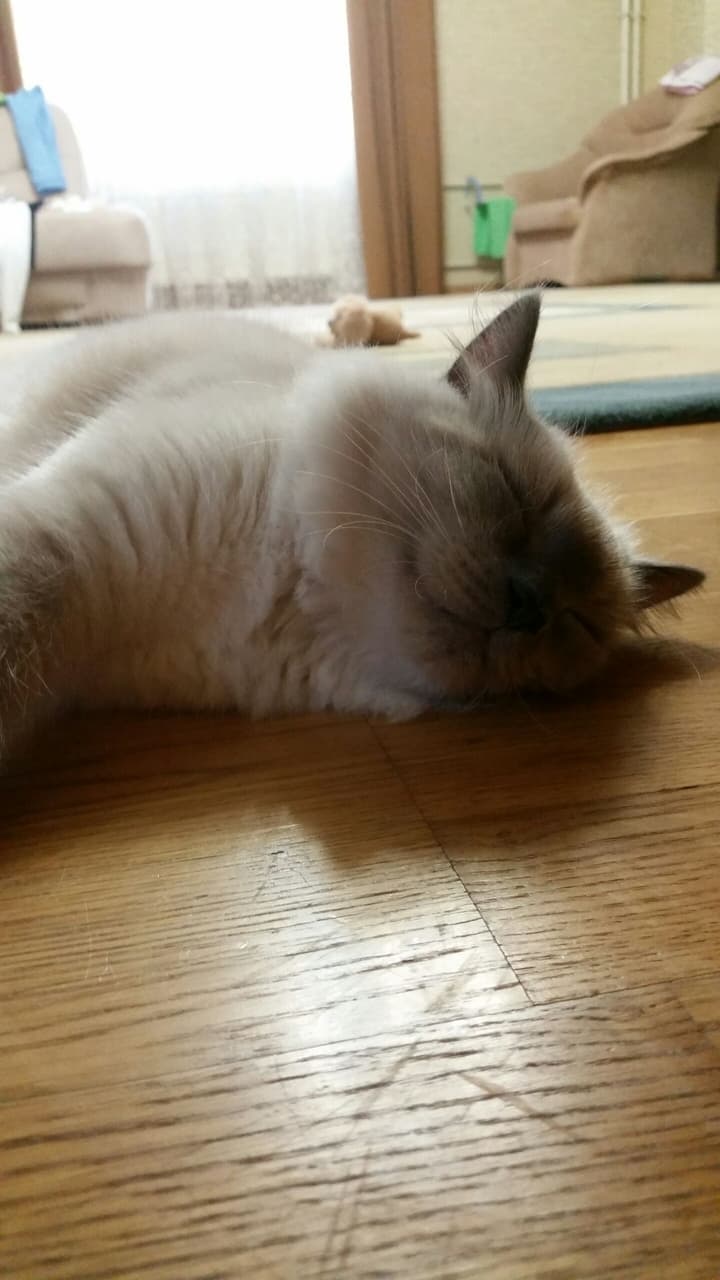 time to sleep