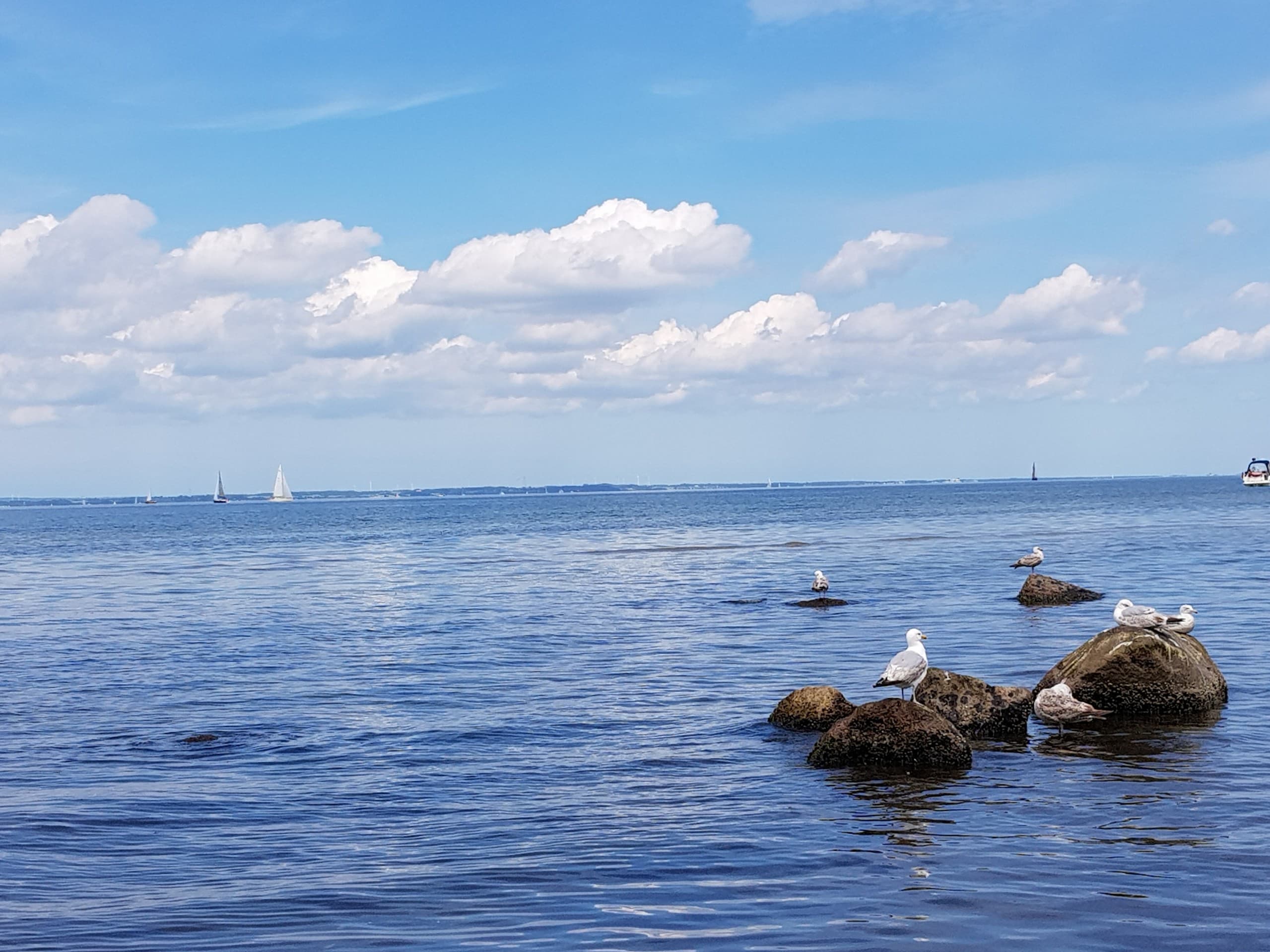 sea