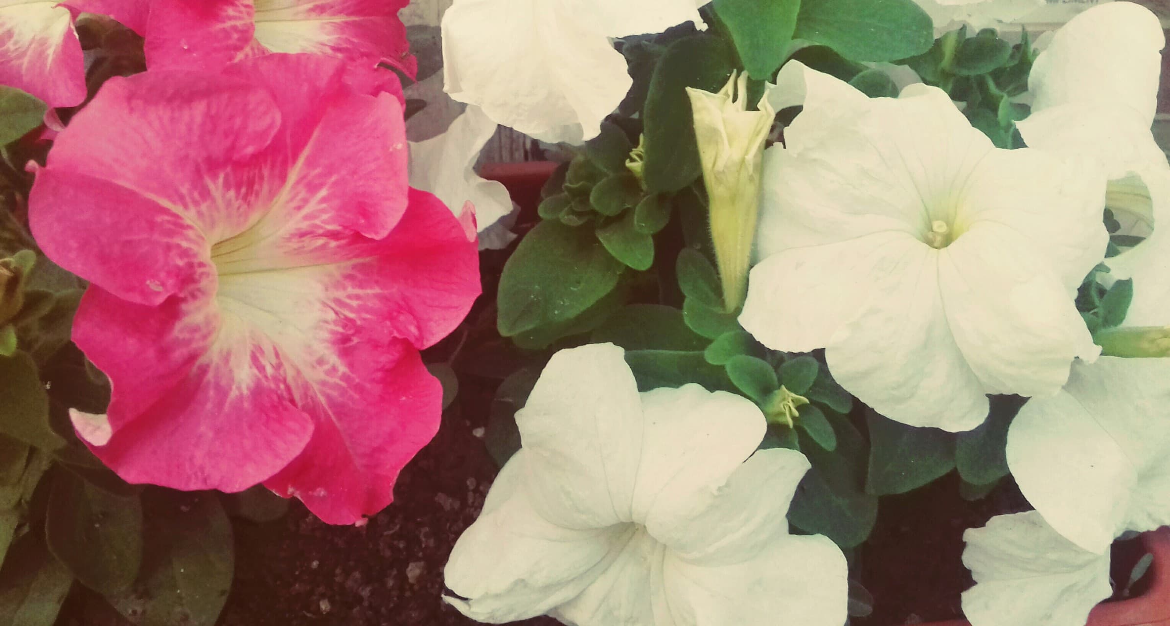 ☺