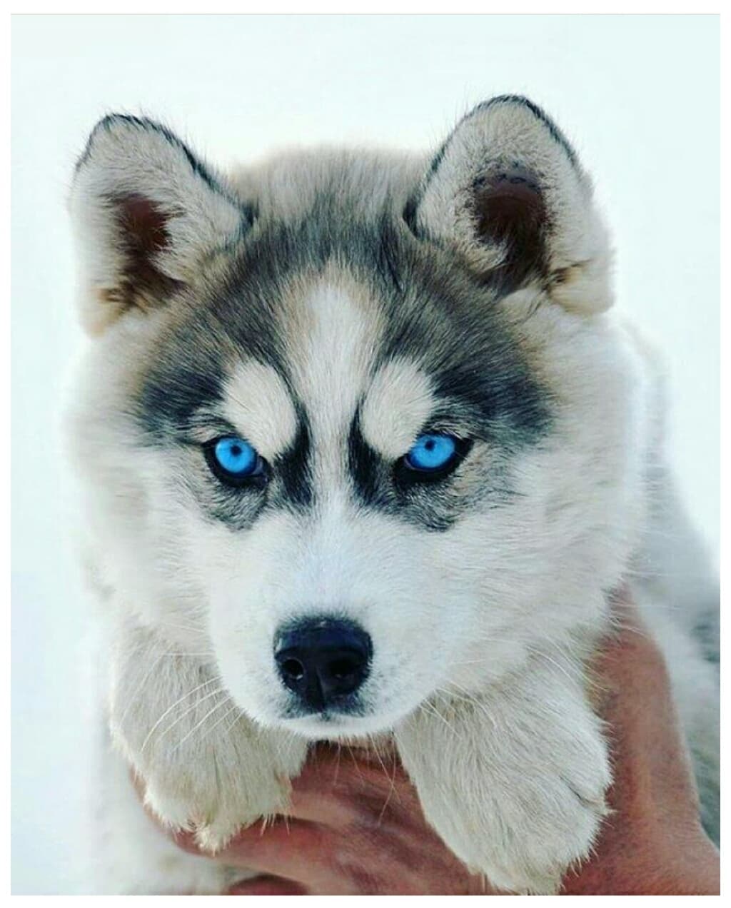 ?