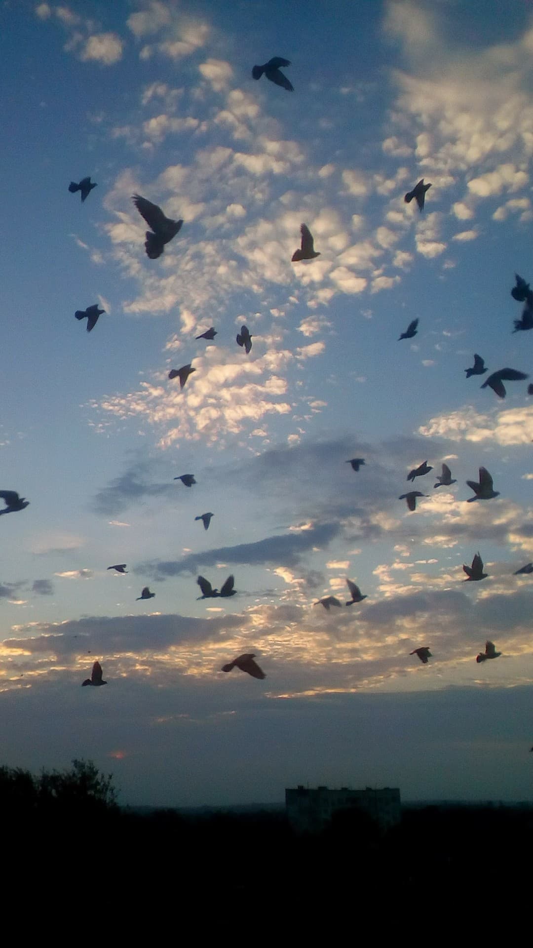 sky