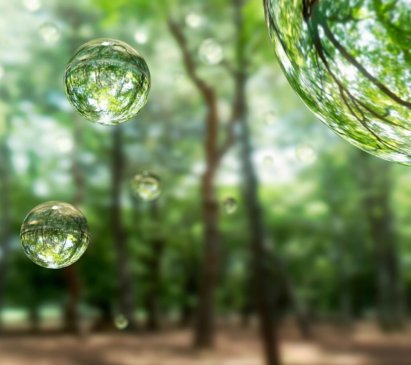 Beautiful Water Droplet