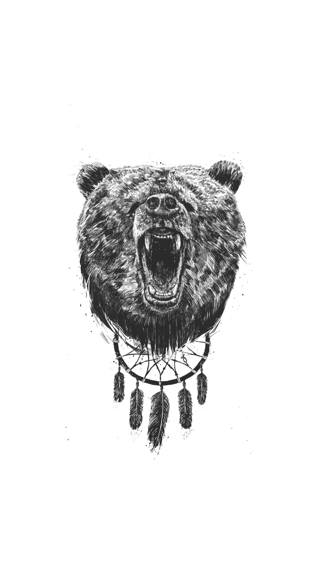 bear