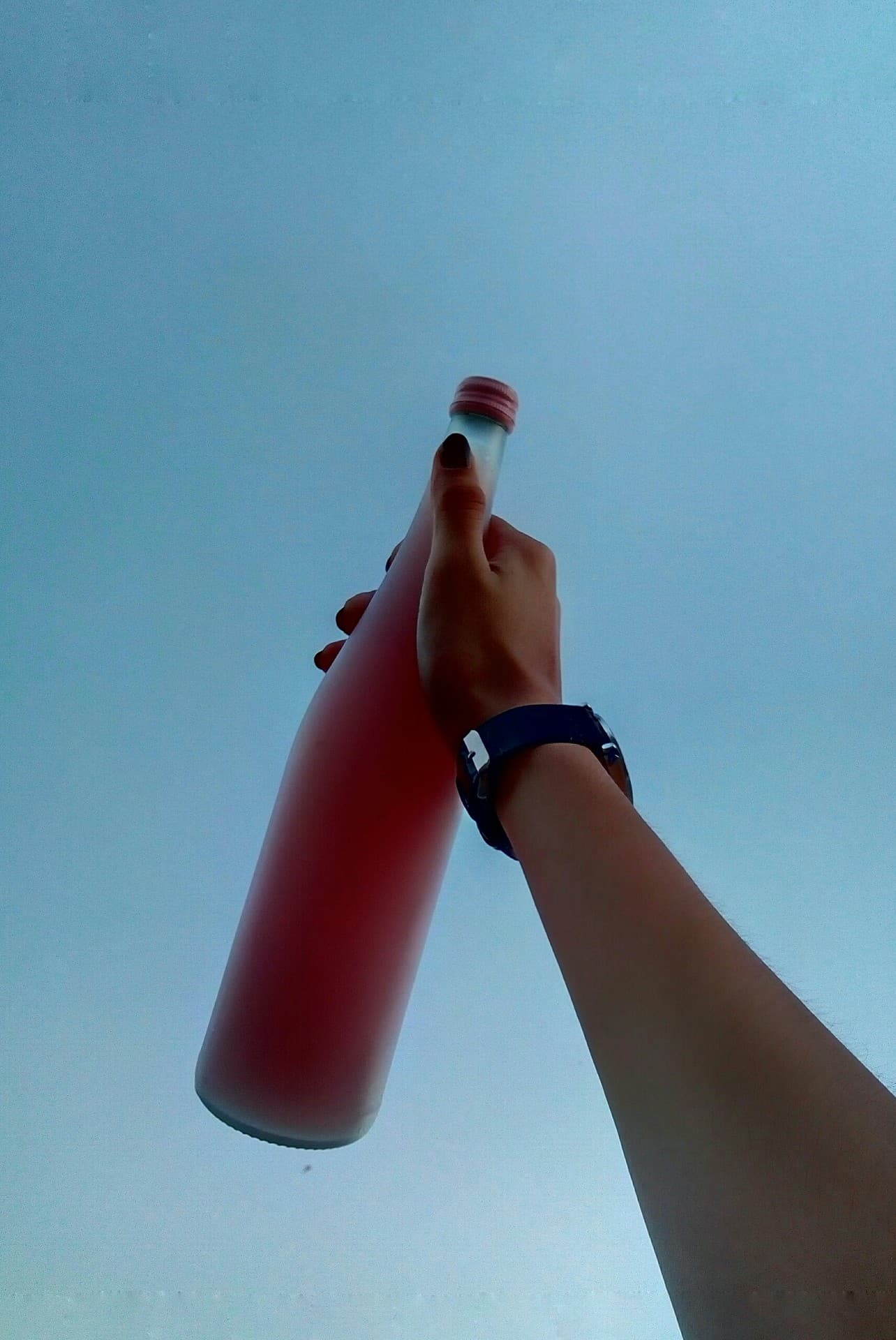 bottle