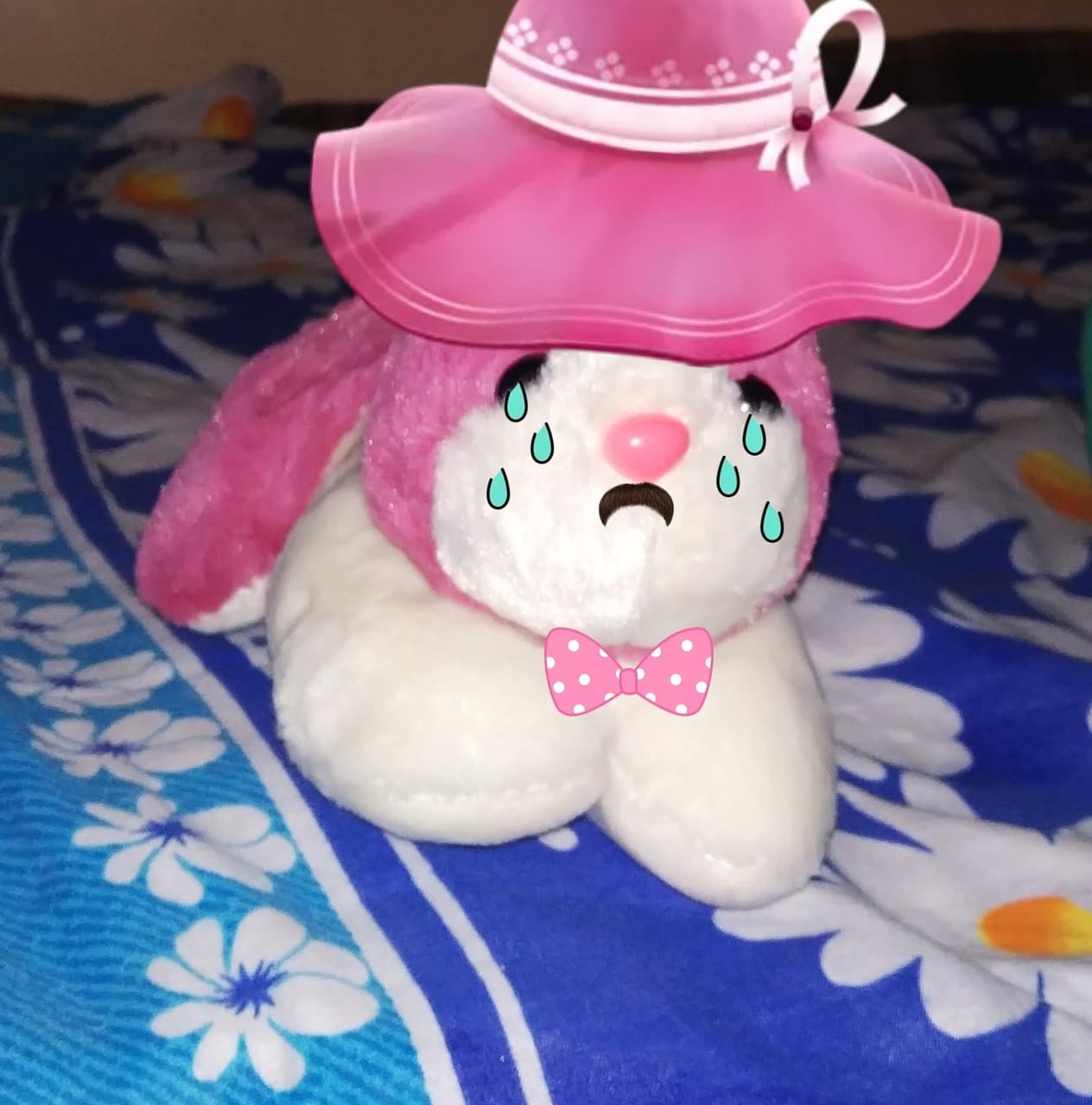 rabit