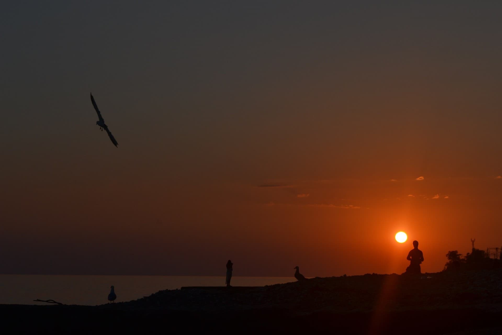 sunset
