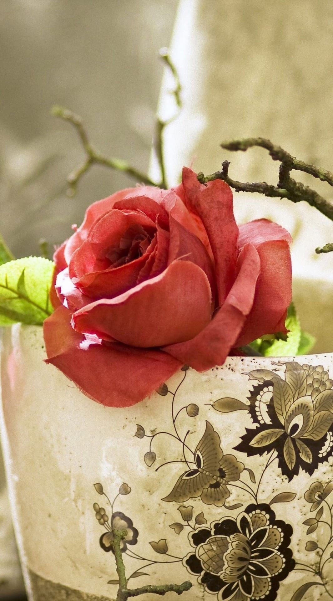 rose on table