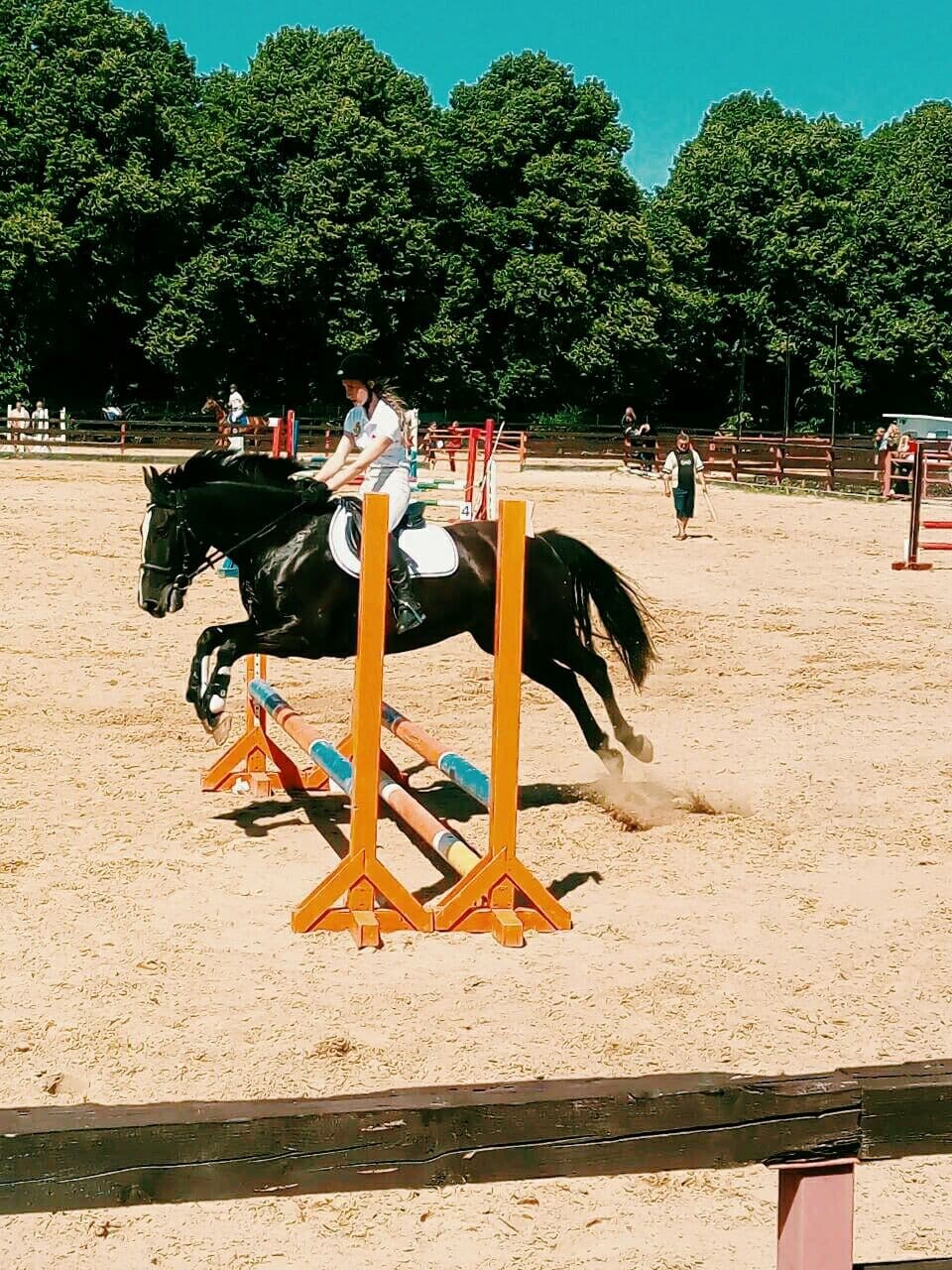 love horses:))