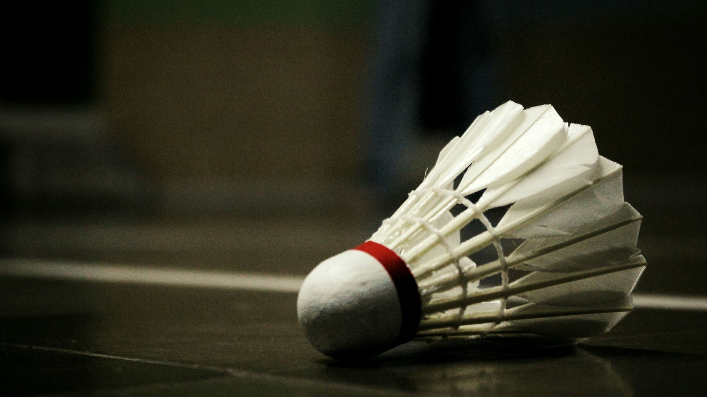 Shuttlecock