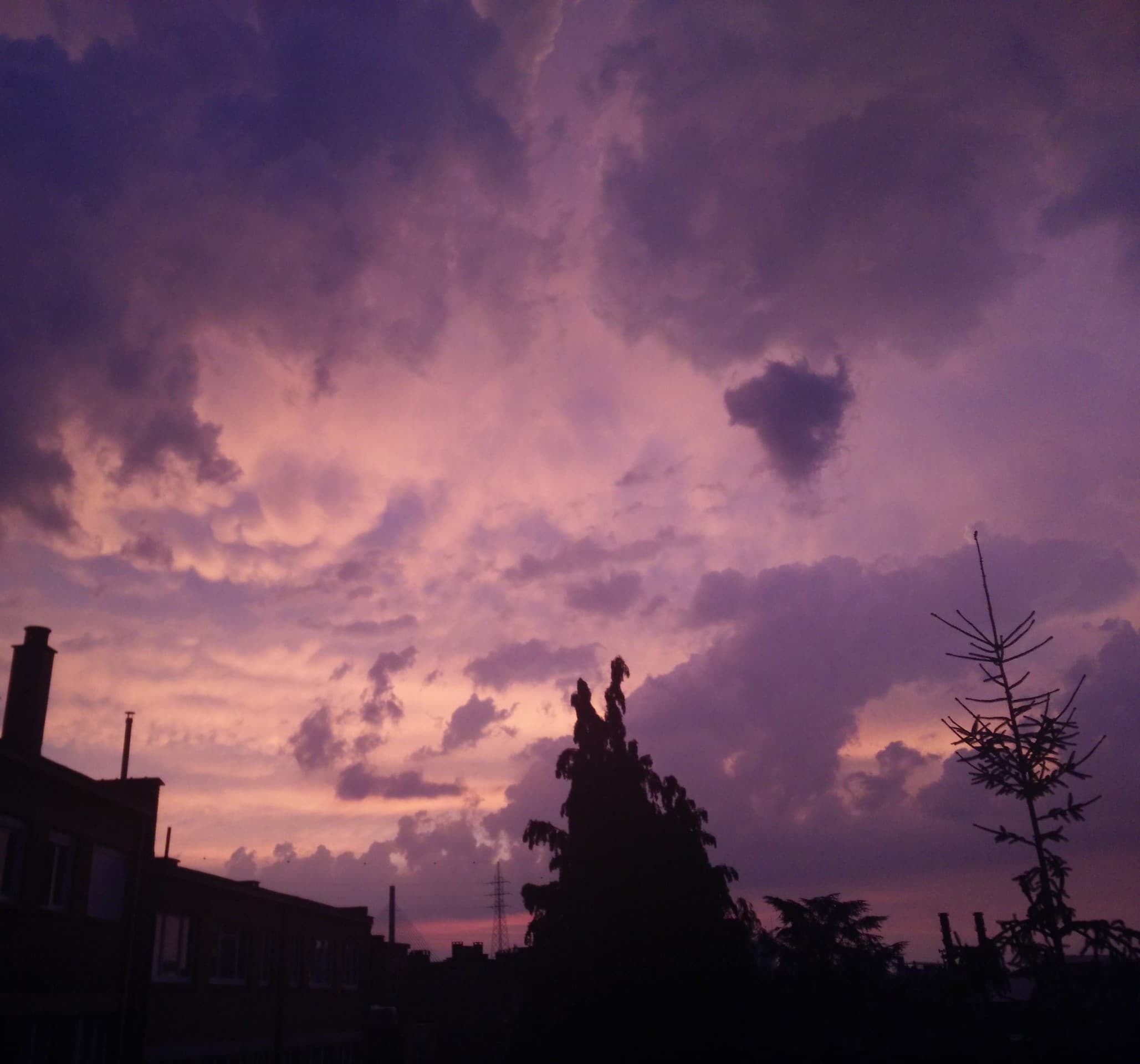 Twilight