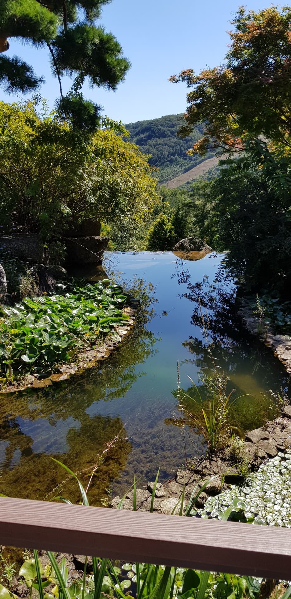 hwadam botanic garden, Korea