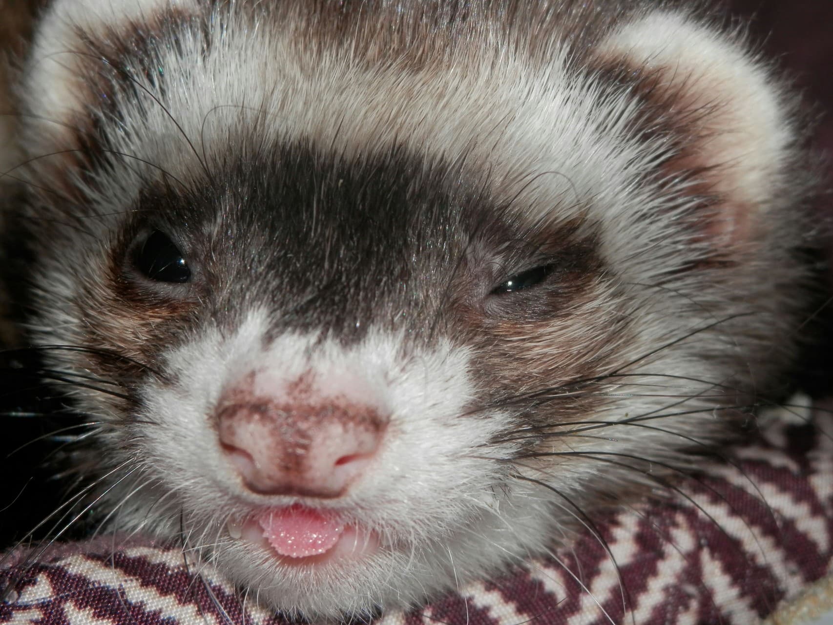 Wink