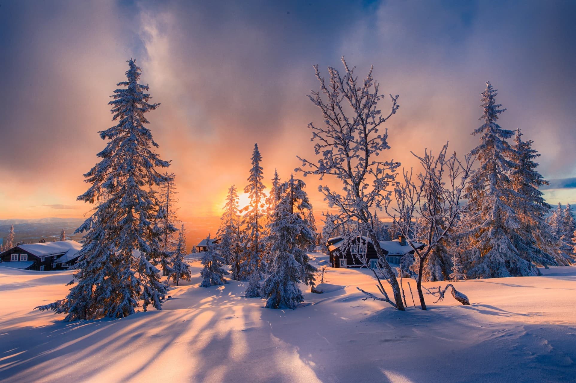 Winter