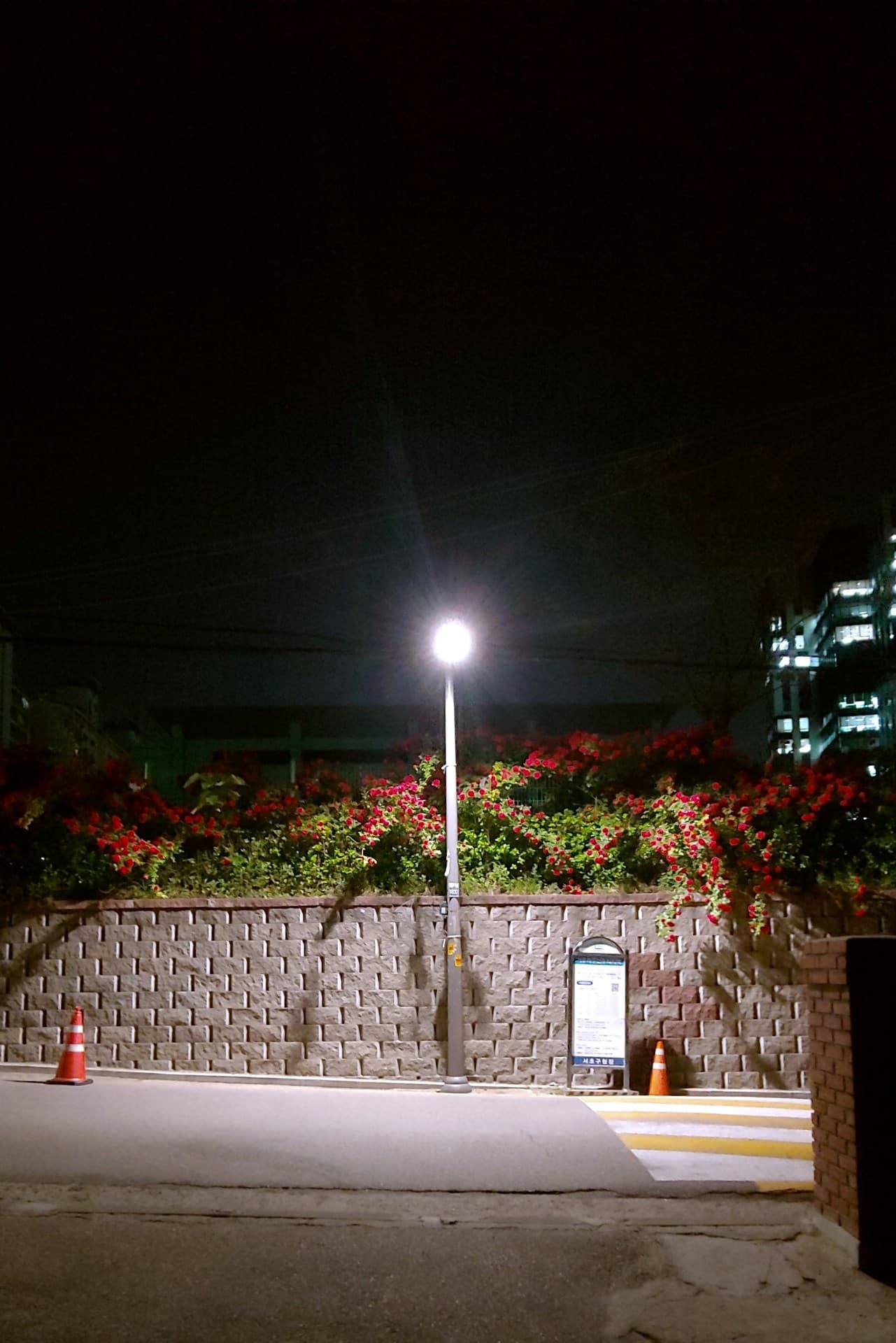 Street Light