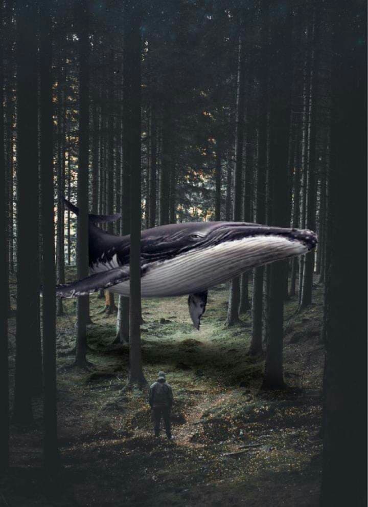 ??