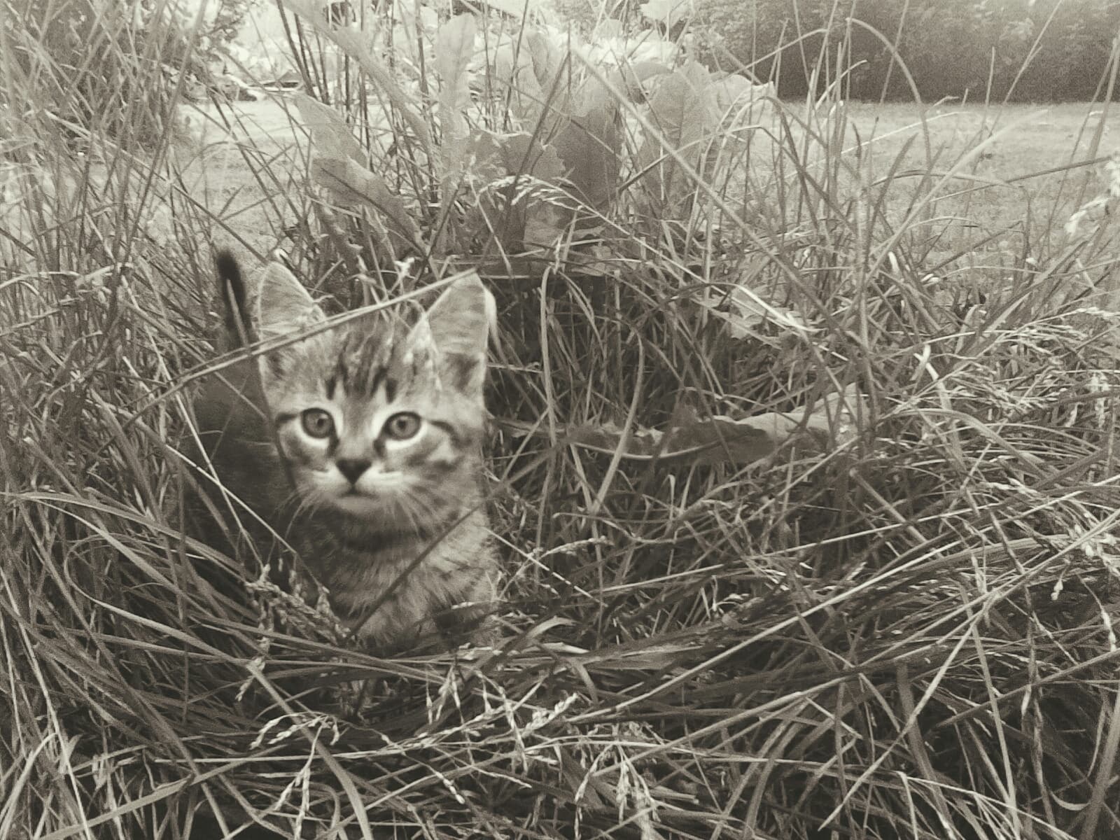 exploring the world