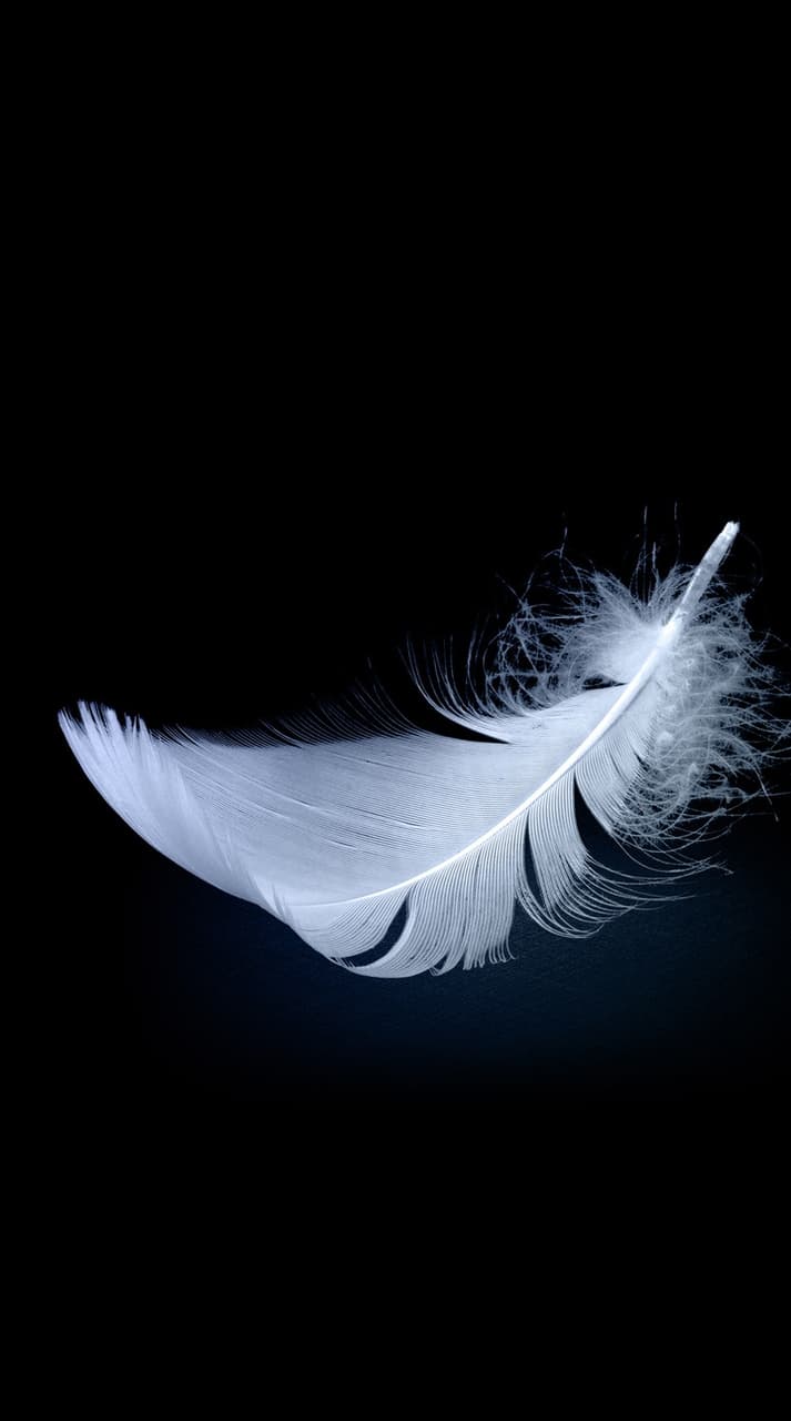 feather