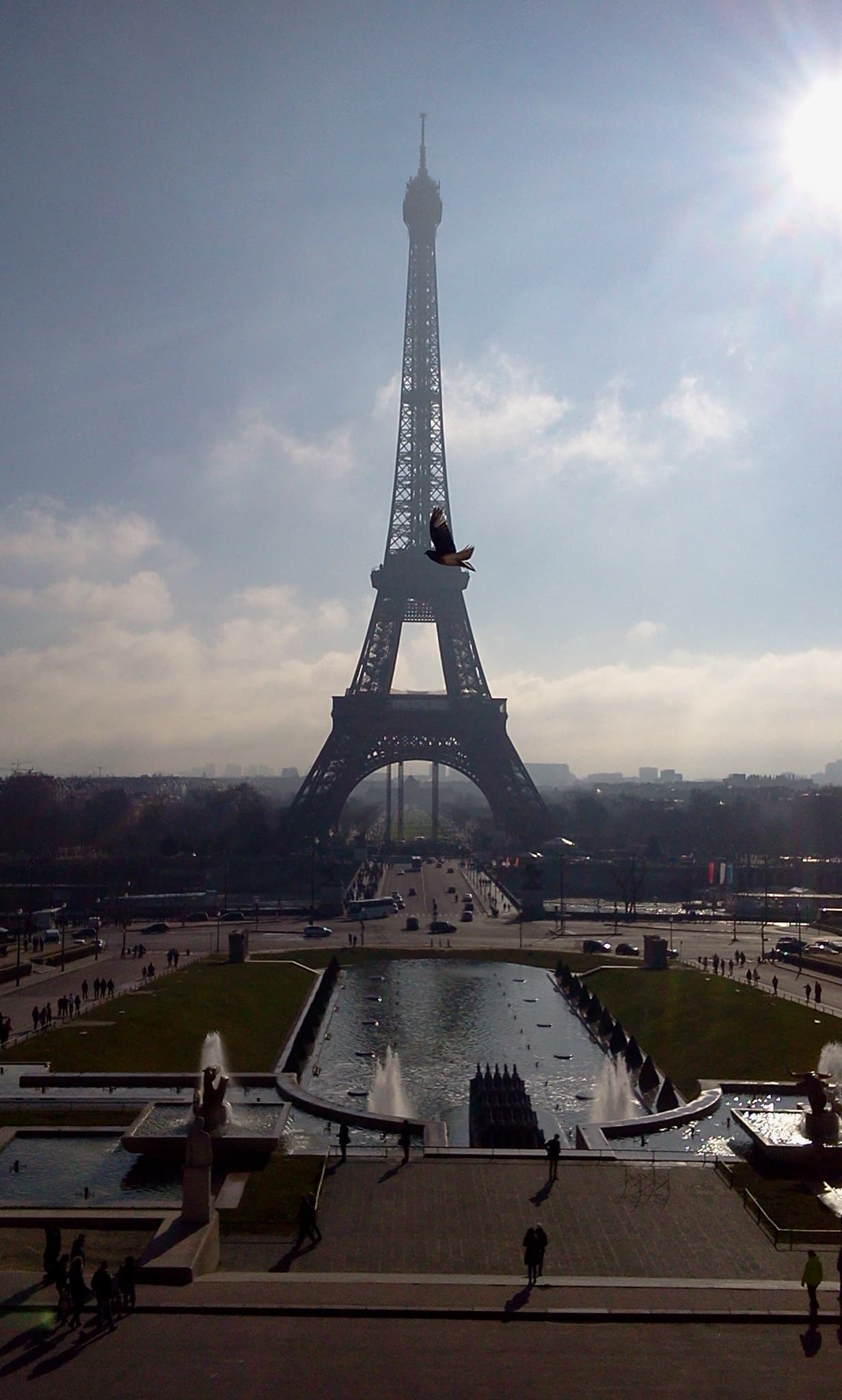 Eiffel Tower with a bird
