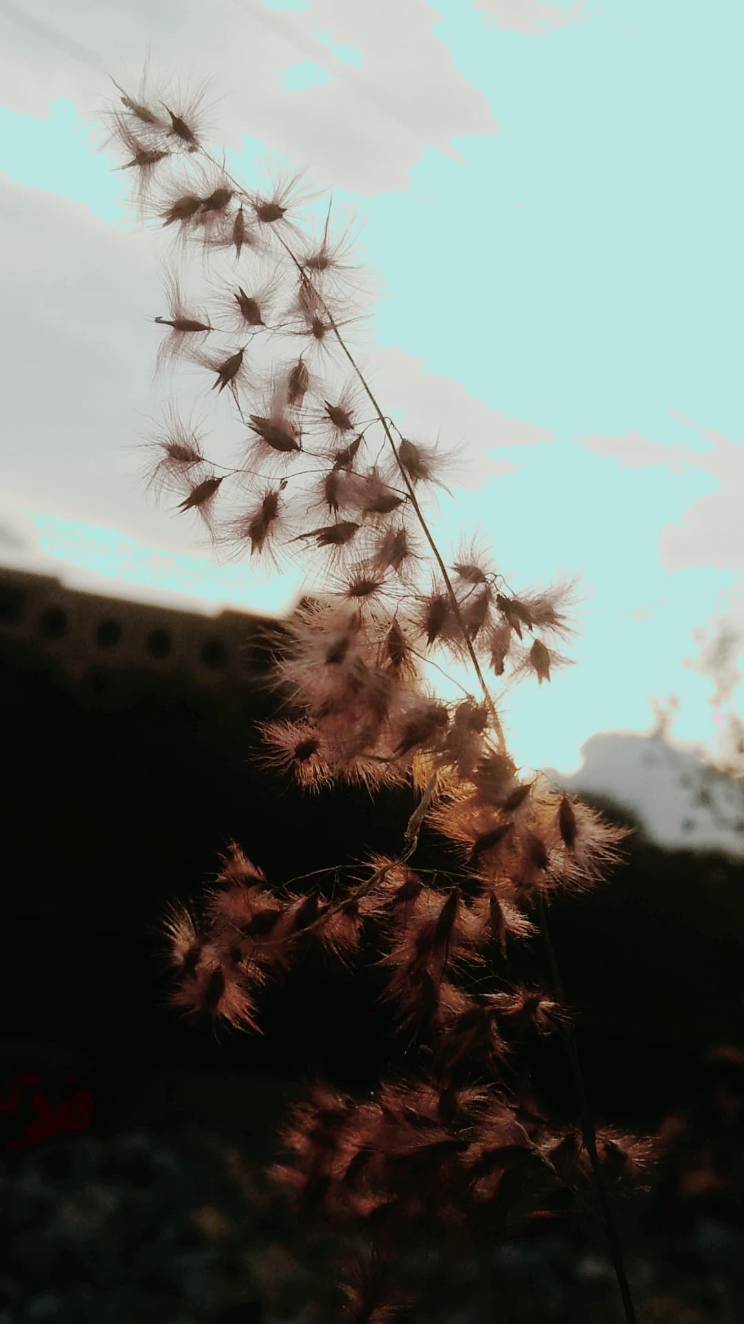 feel it