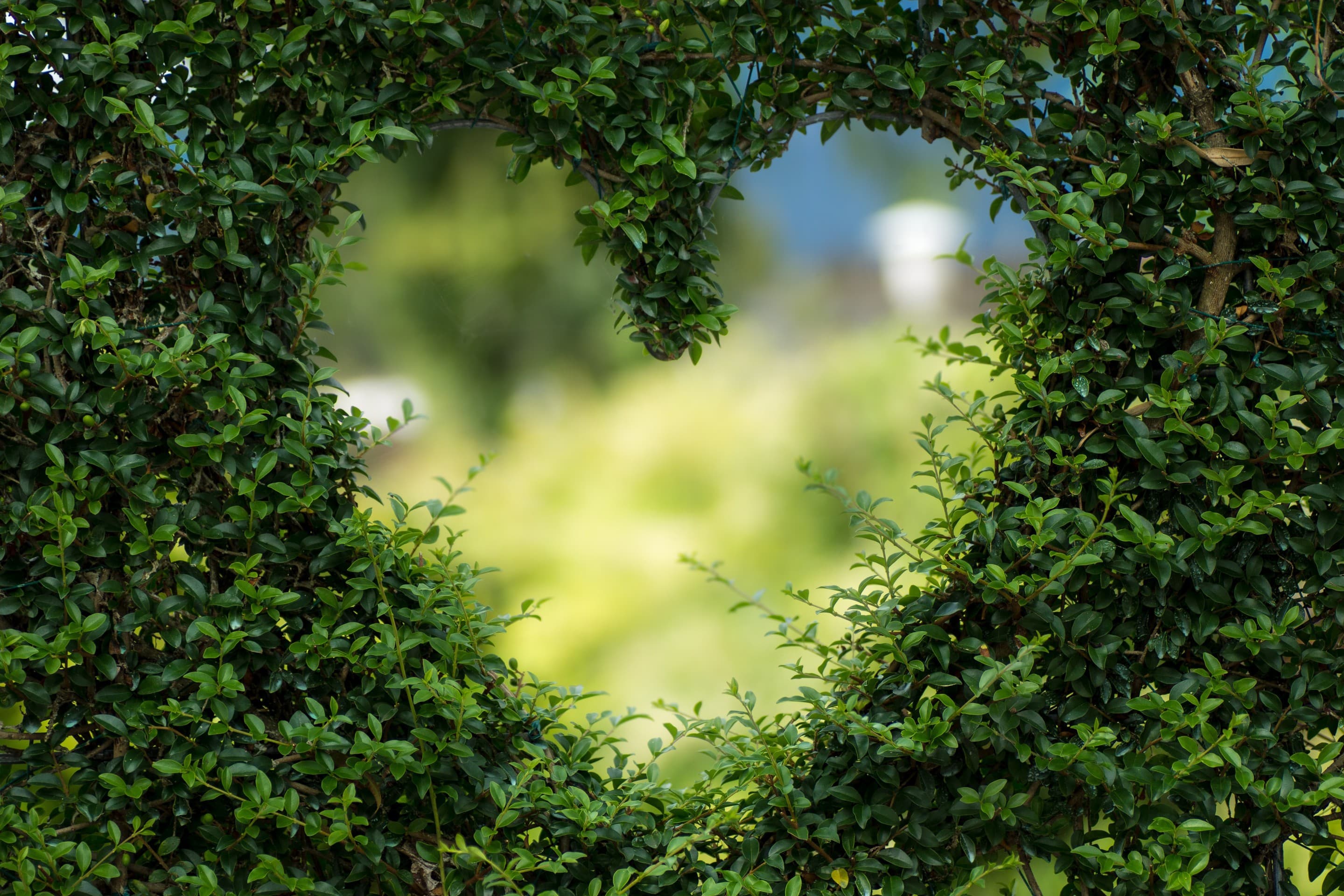 ❤️ heart