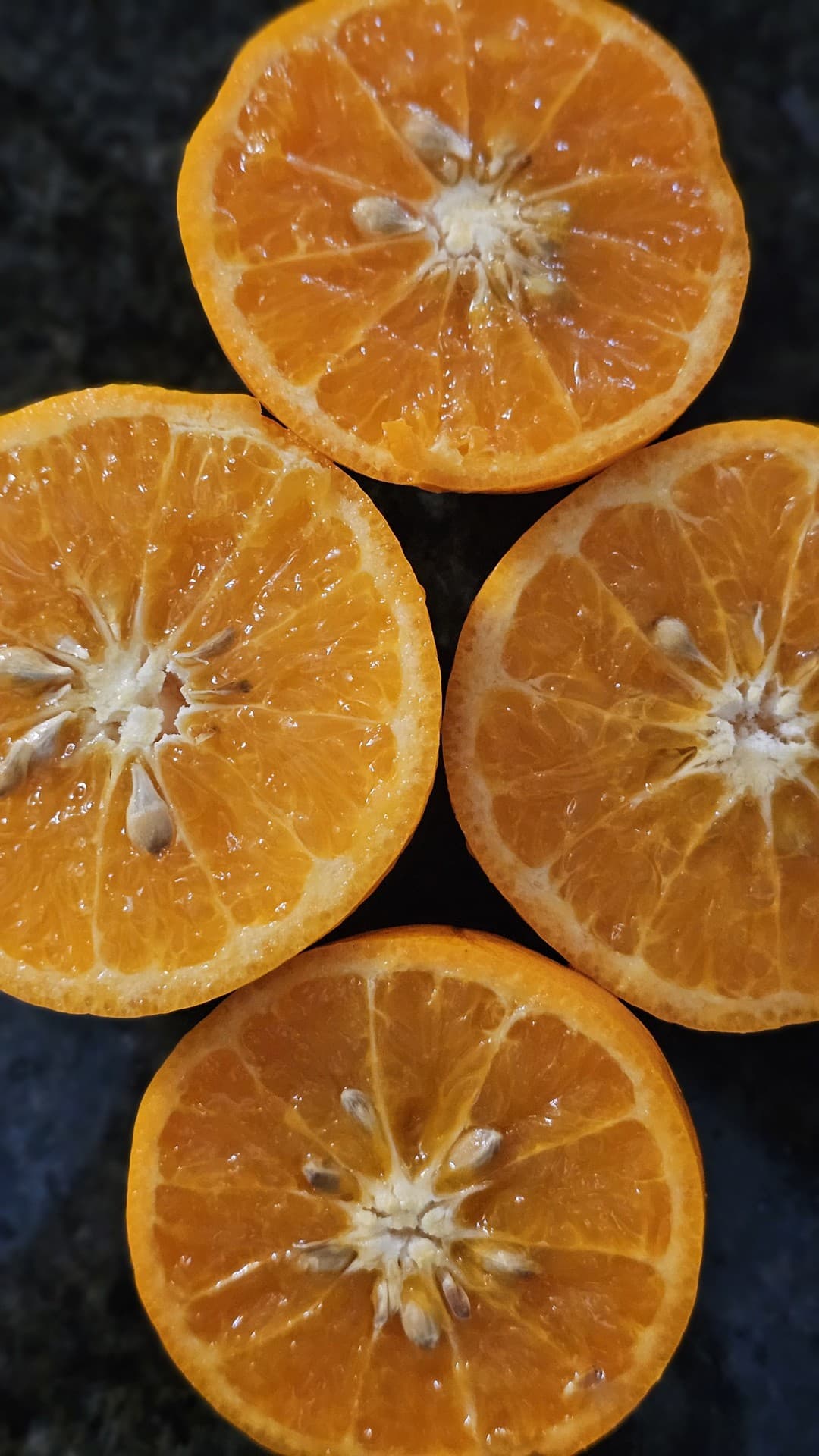 주황, 과일 배경화면