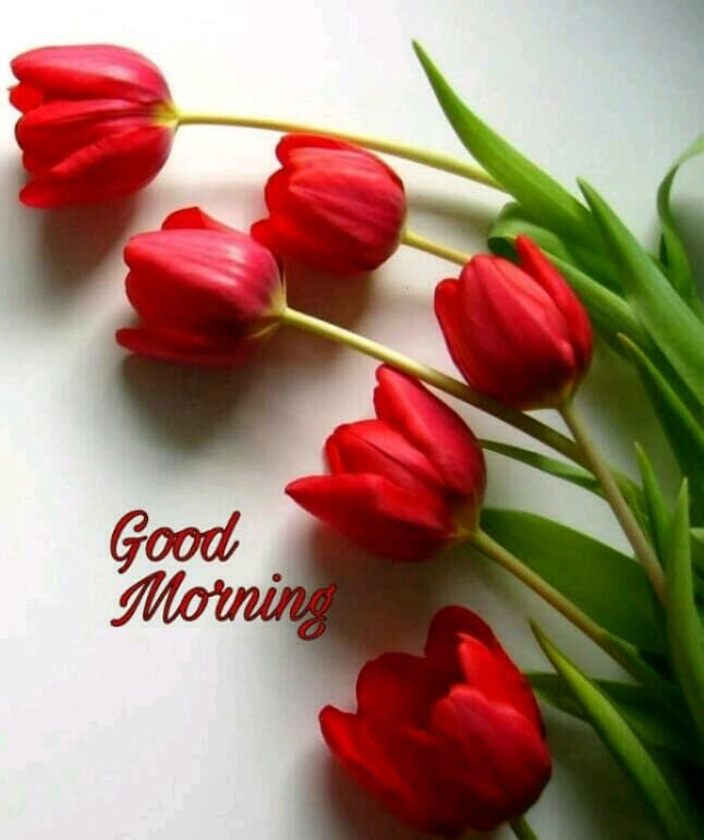 good morning