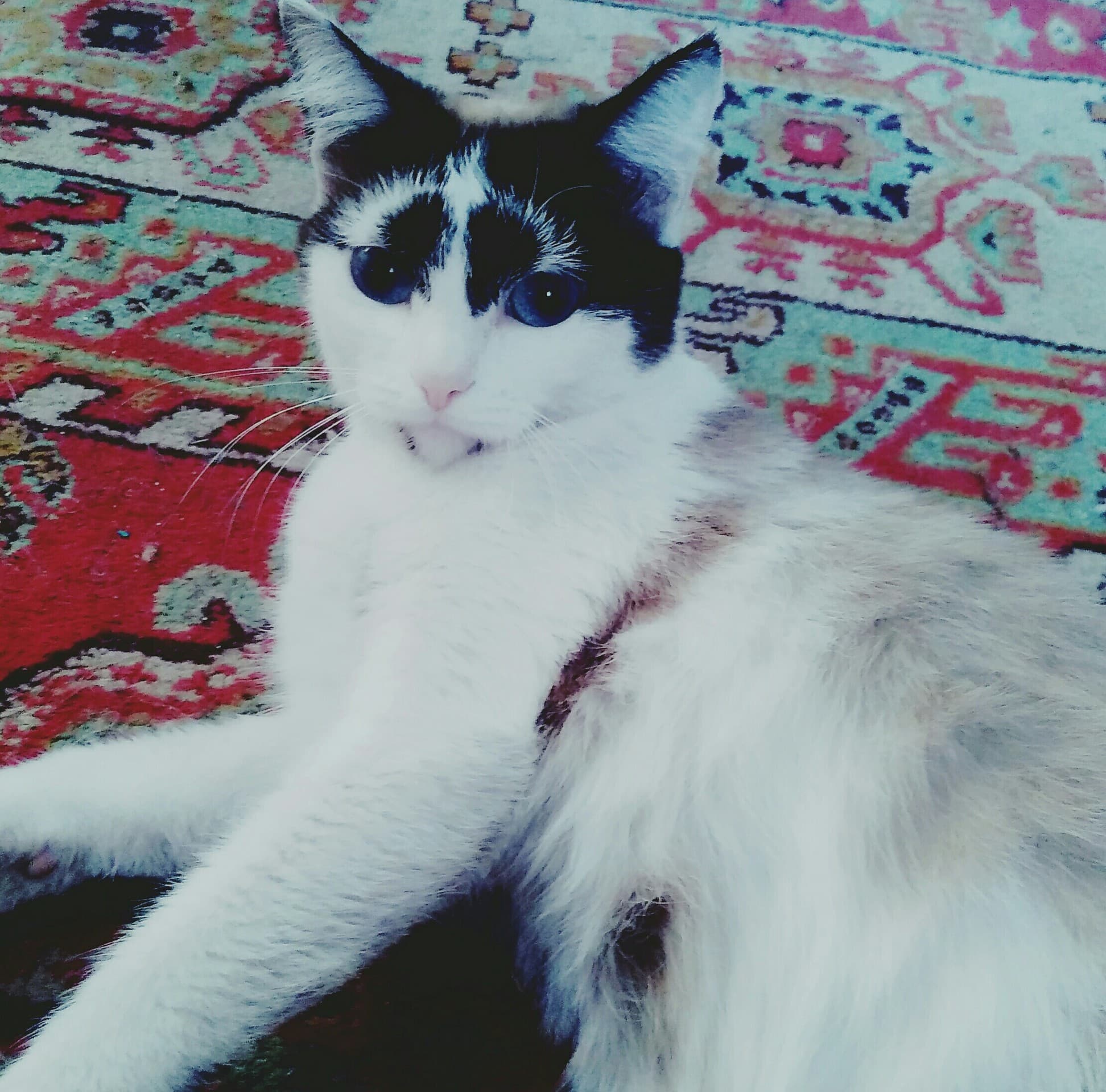 my princess