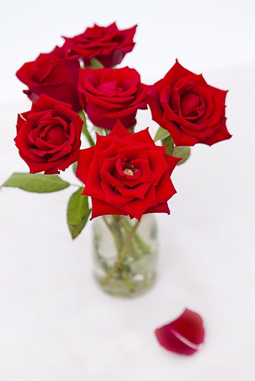 I LOVE YOU