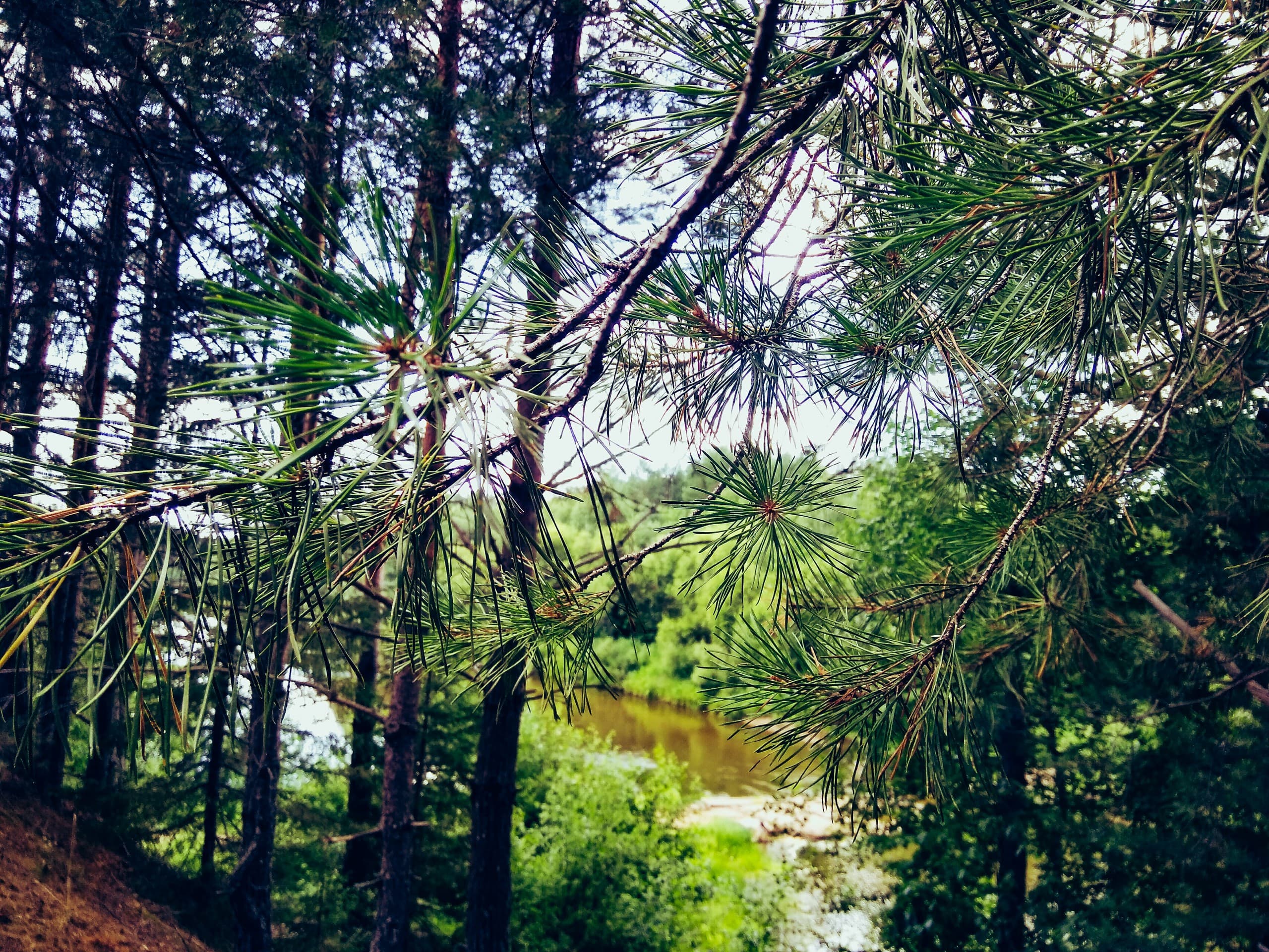 Каменка