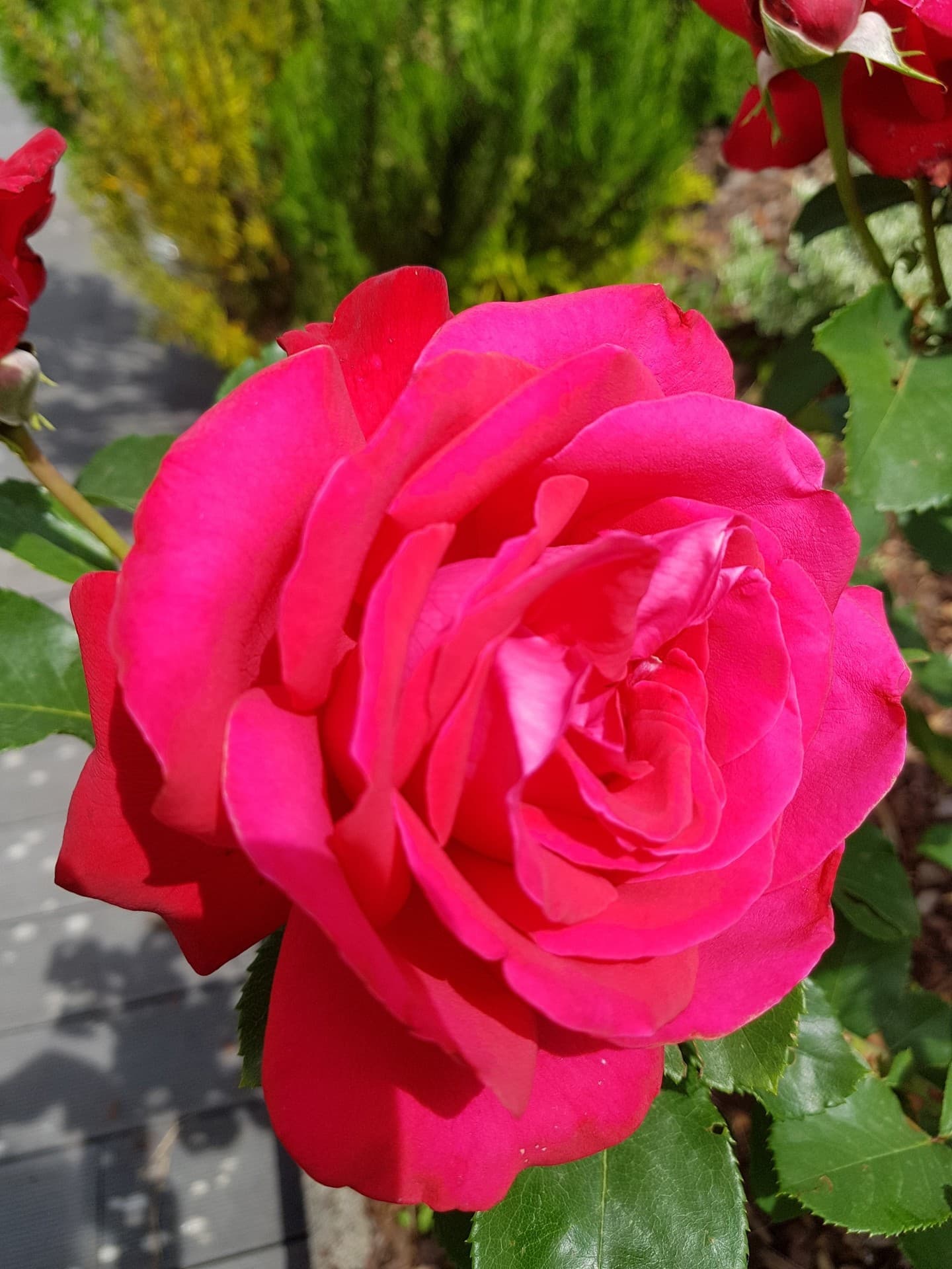 for you...❤